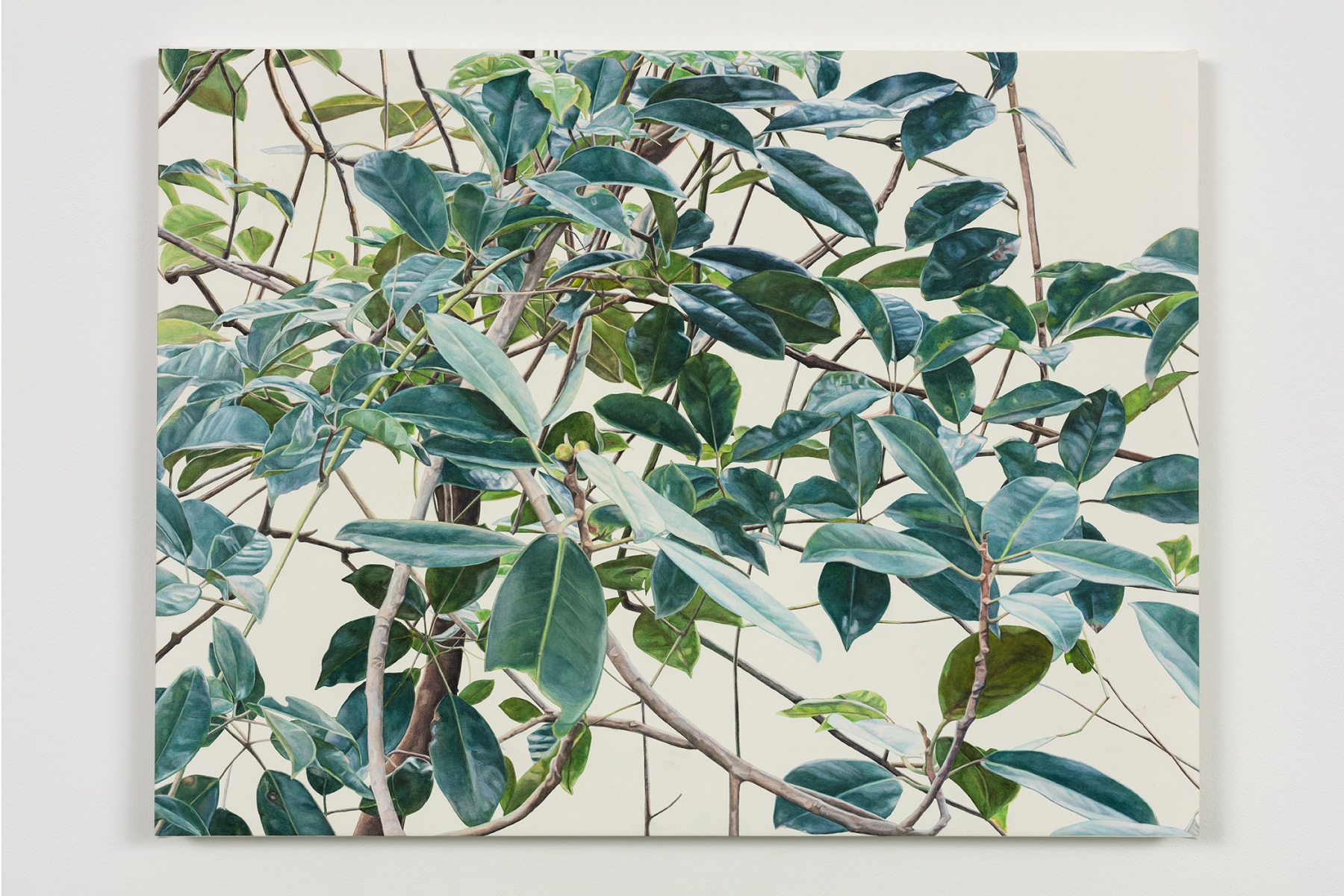 Toba Khedoori - leaves/branches