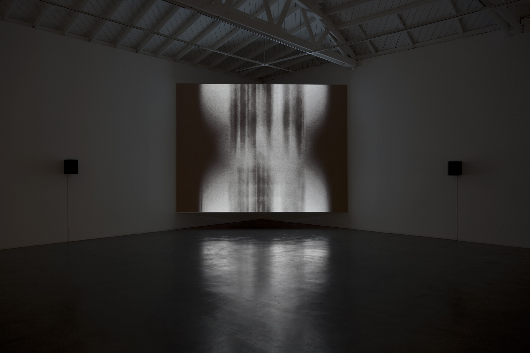 Glenn Ligon