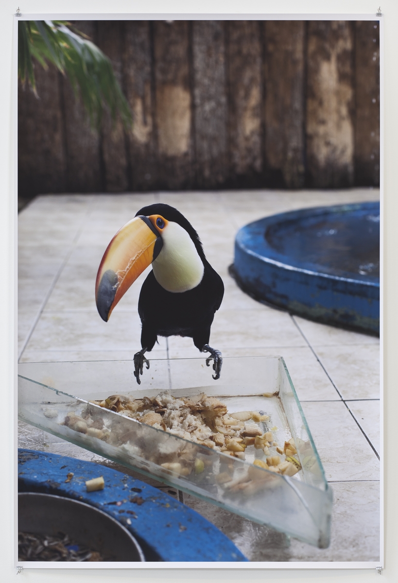 Wolfgang Tillmans