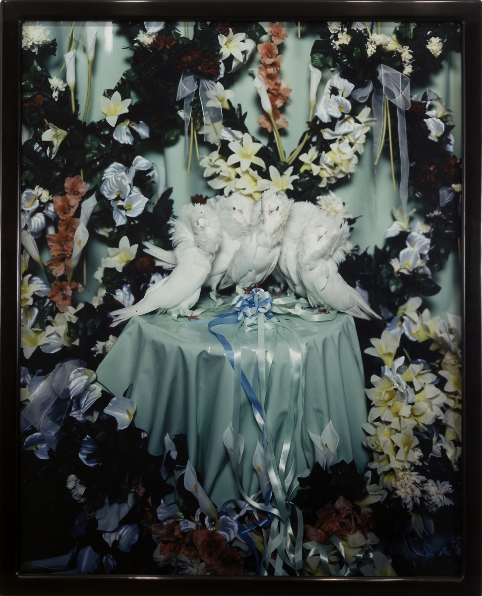 Matthew Barney