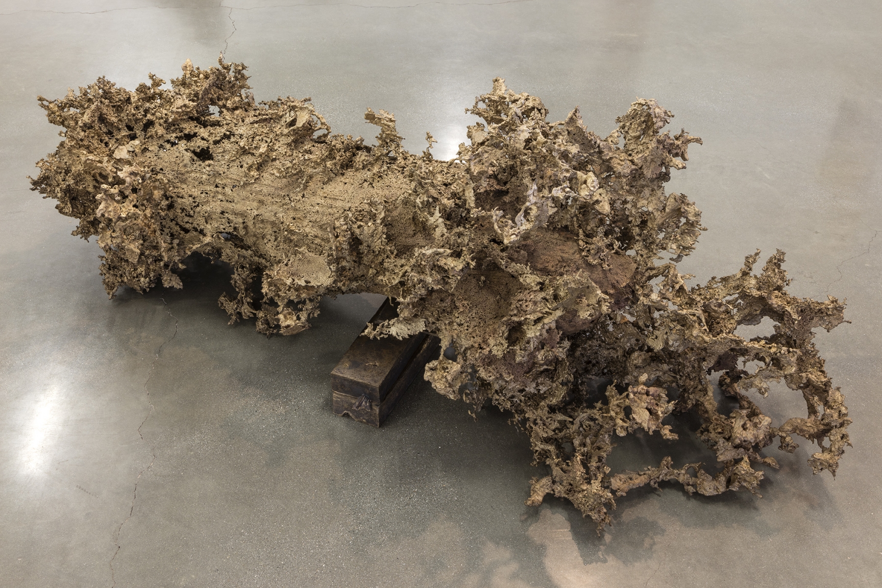 Mathew Barney - Water Castings