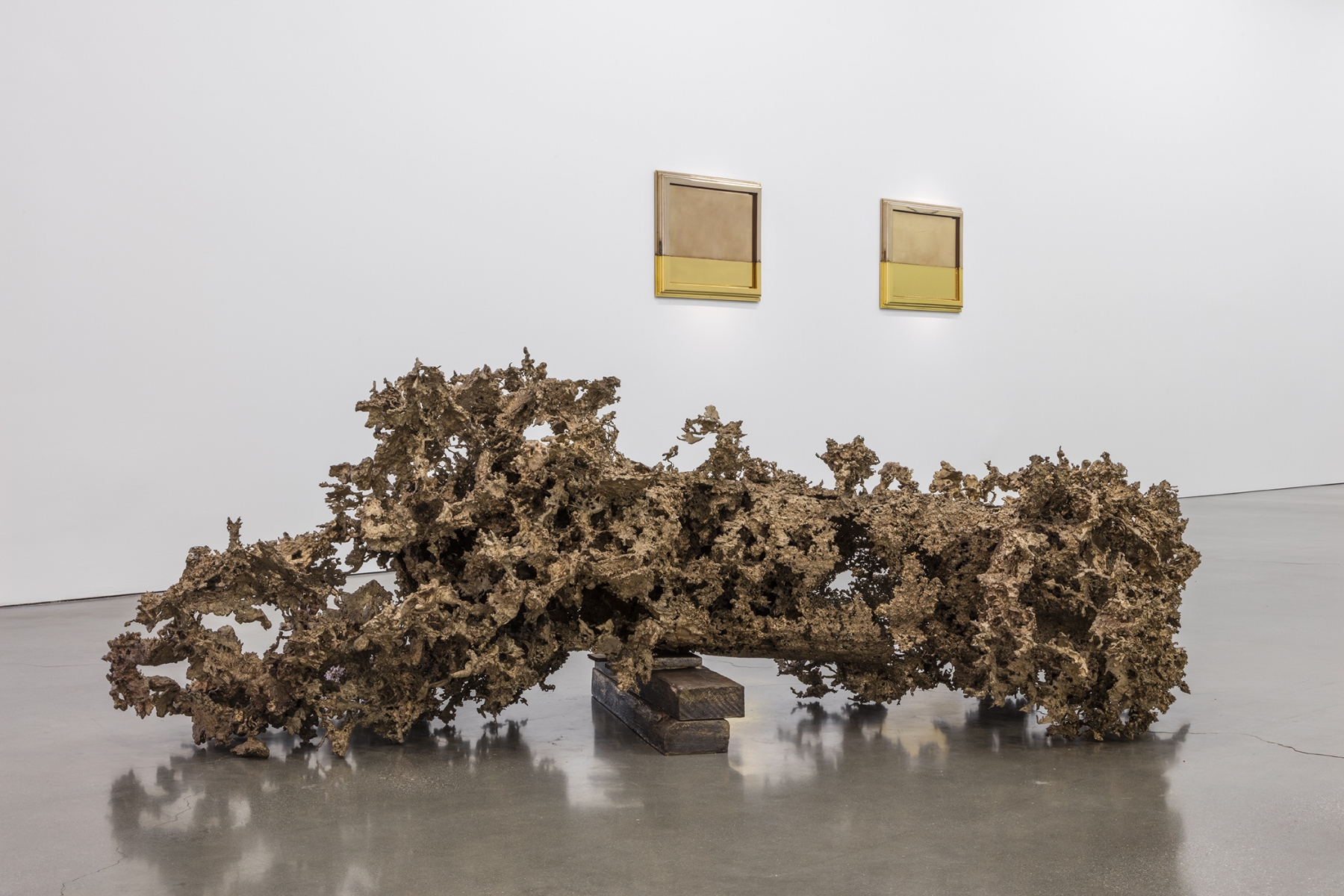 Matthew Barney