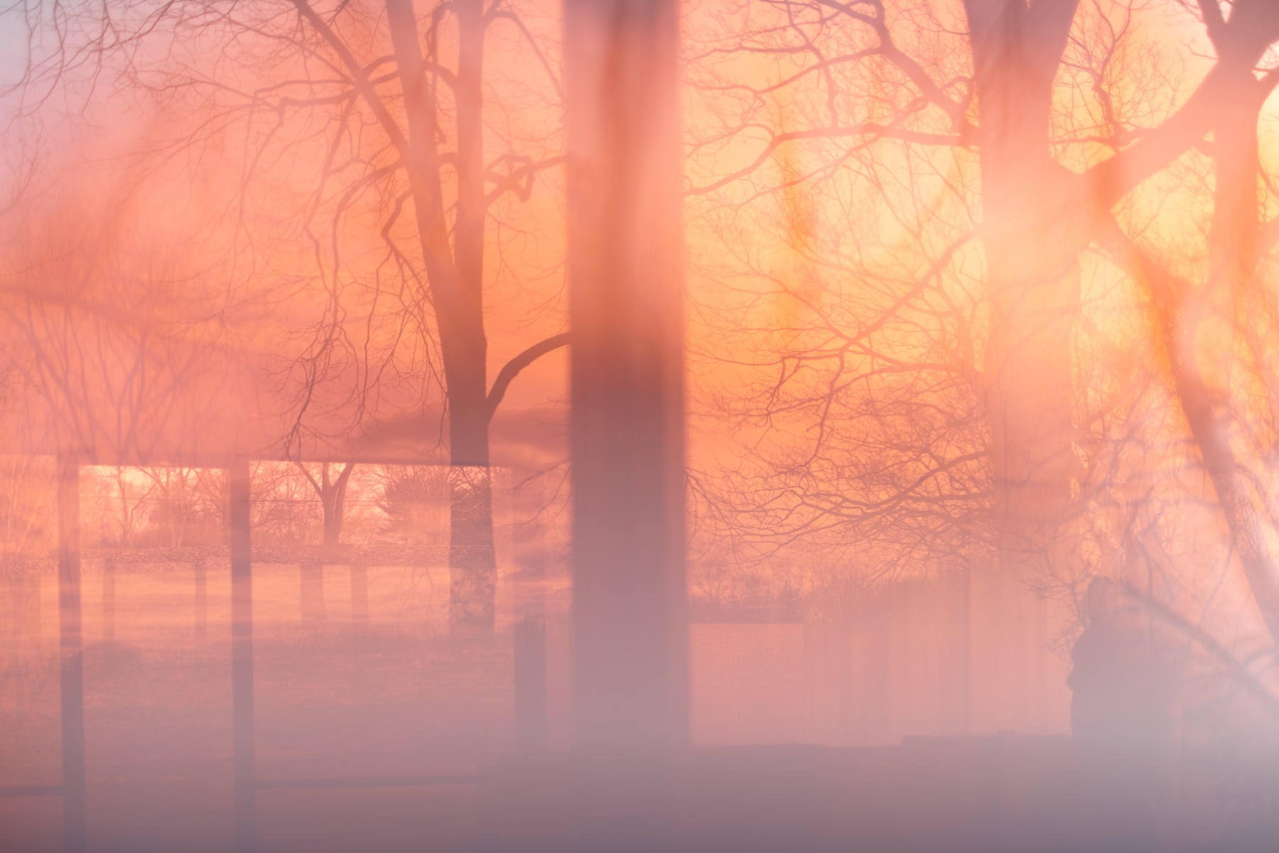 James Welling