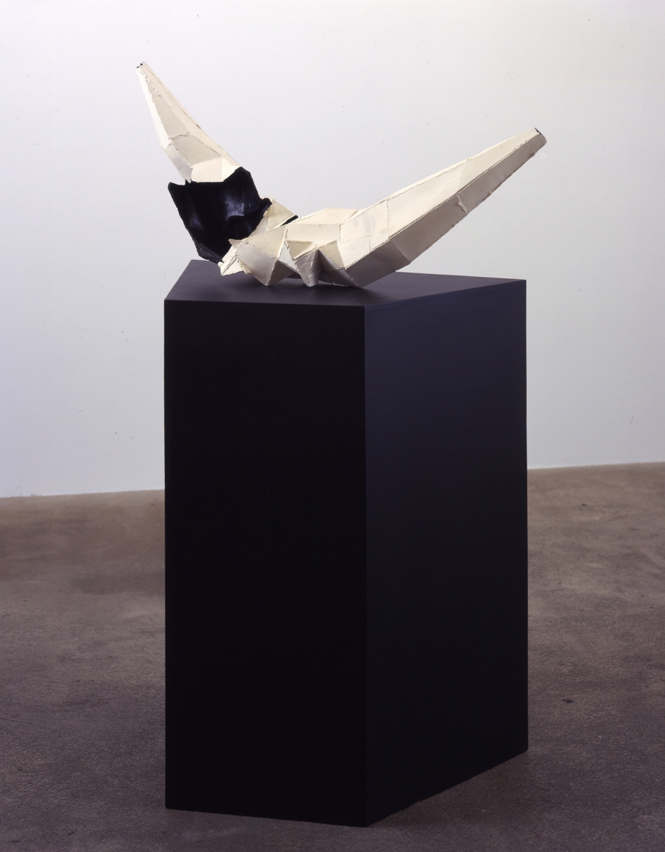 Liz Larner, Smile