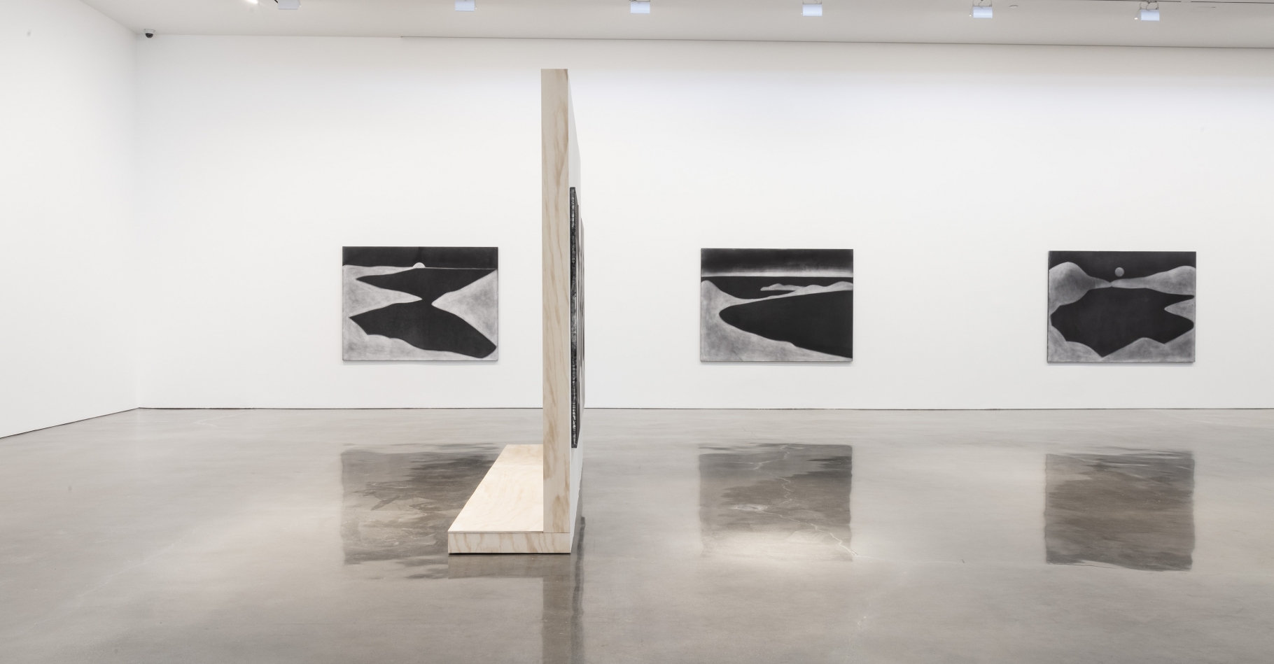 Silke Otto-Knapp - Land and Sea