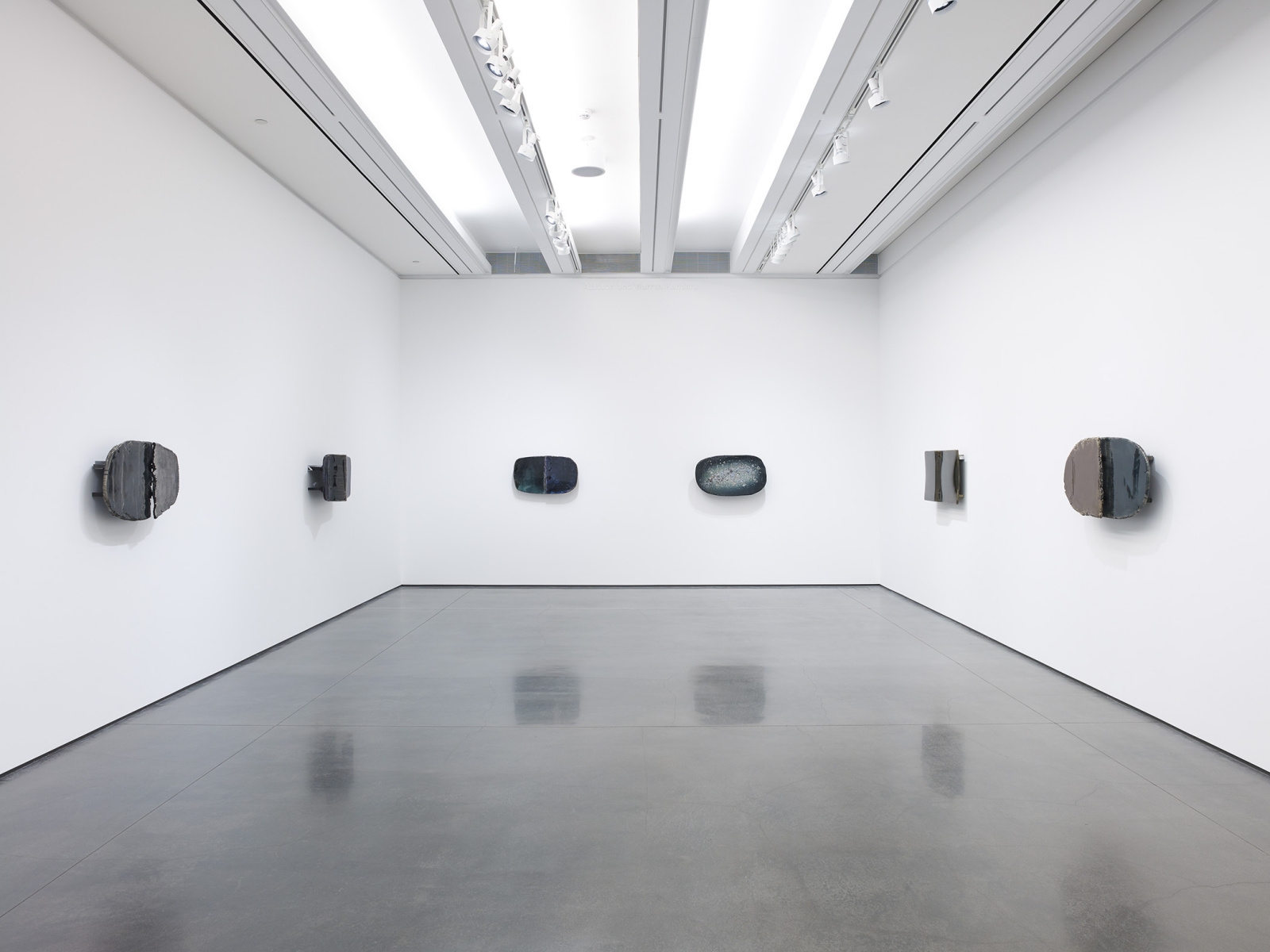 Liz Larner - Aspen Art Museum