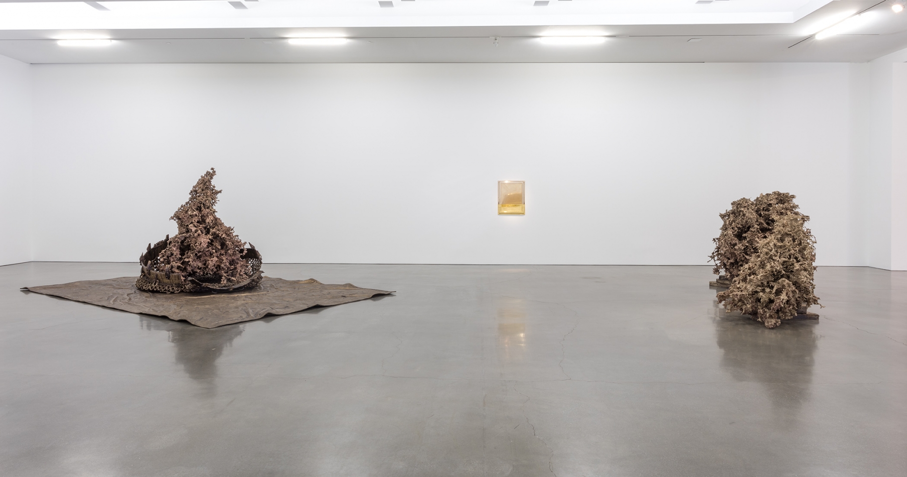 Matthew Barney - Water Castings