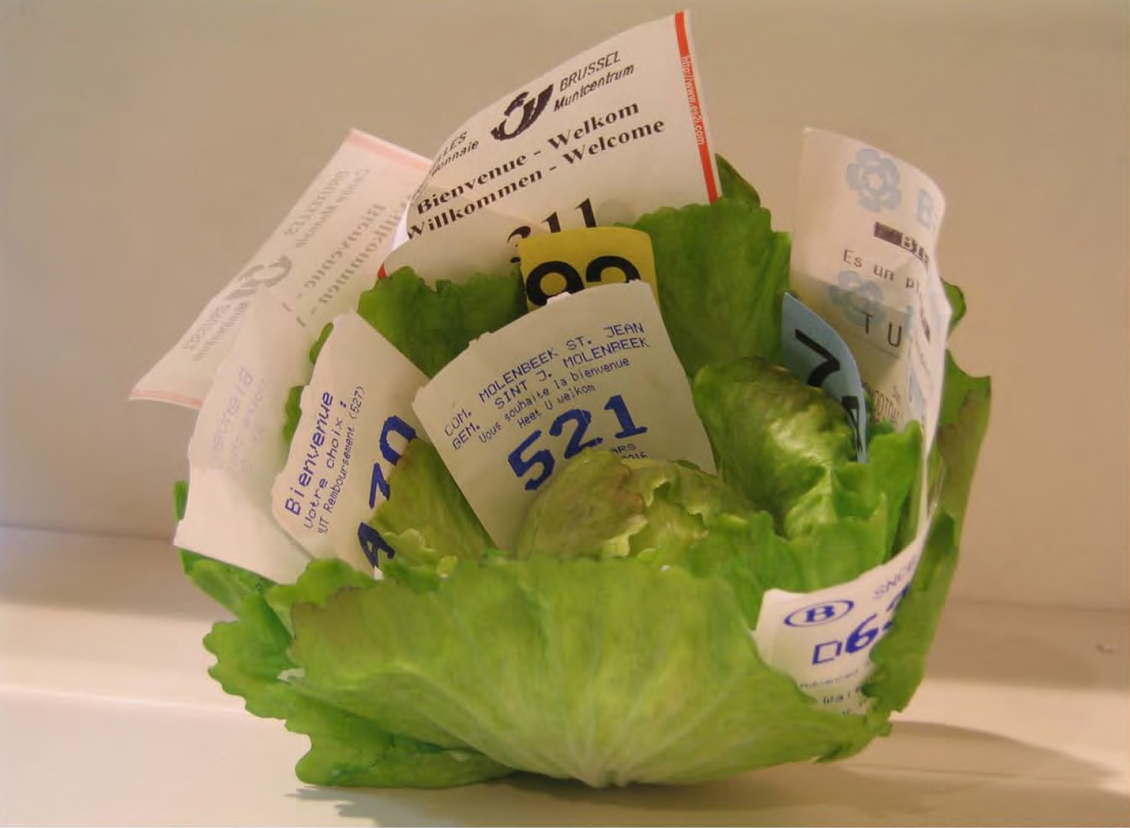 Gabriel Kuri, Waiting stub lettuce