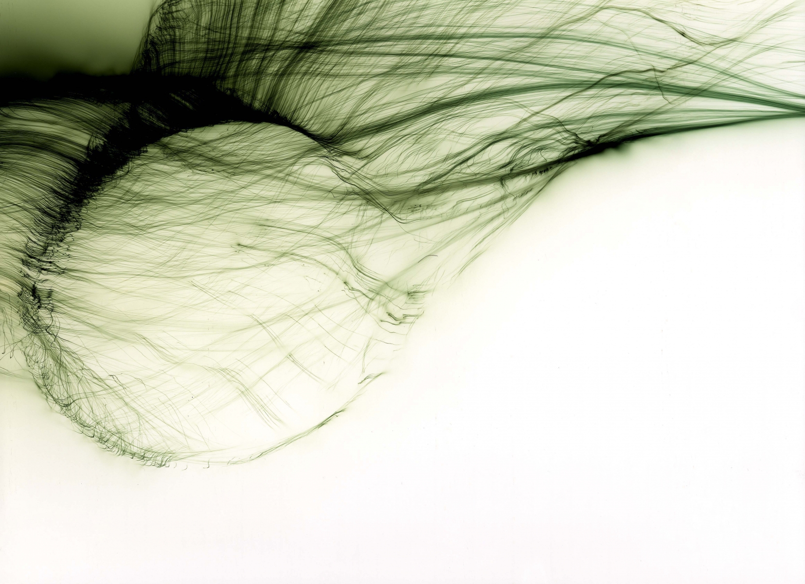Wolfgang Tillmans, Freischwimmer 55