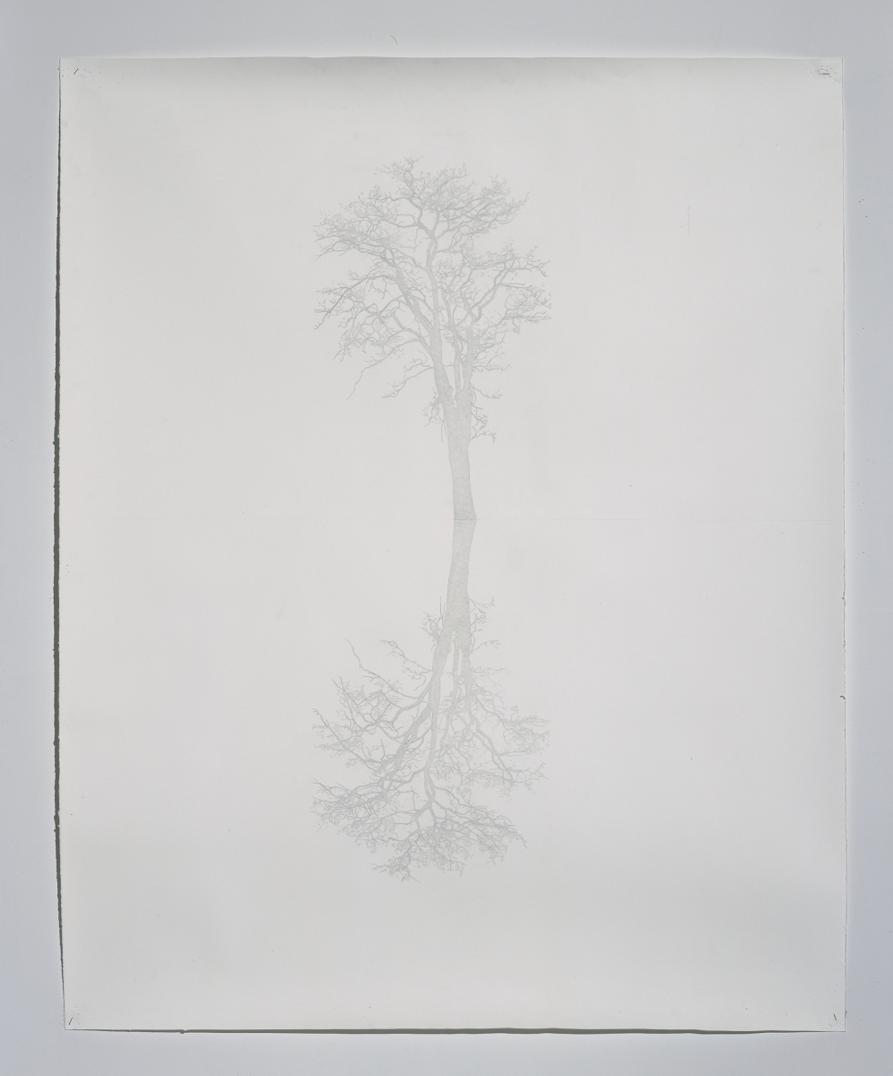 Toba Khedoori, Untitled
