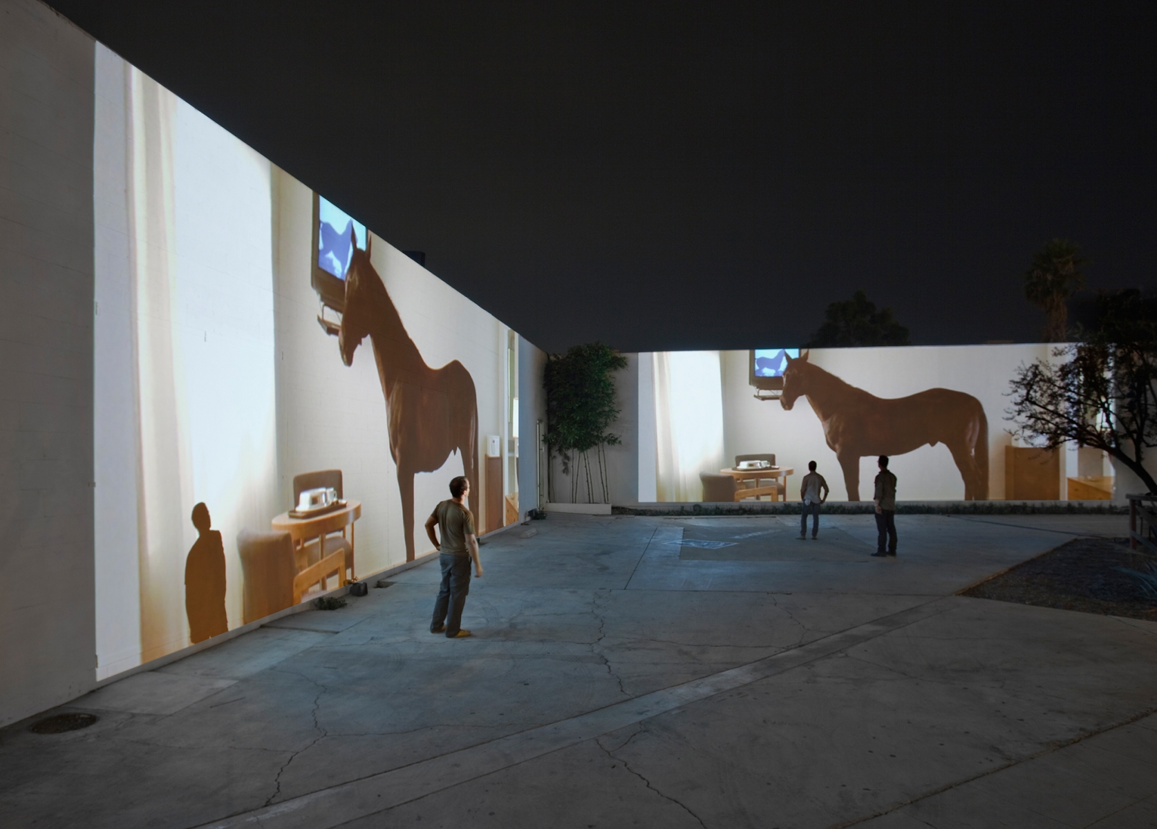 Doug Aitken