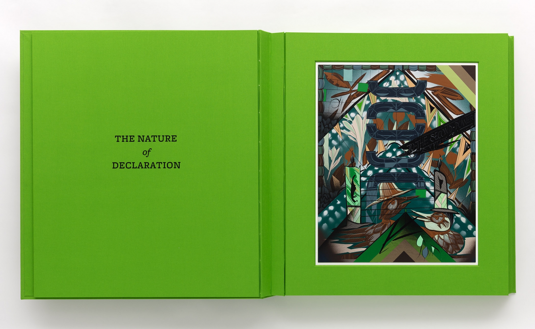 Lari Pittman - A History of Human Nature