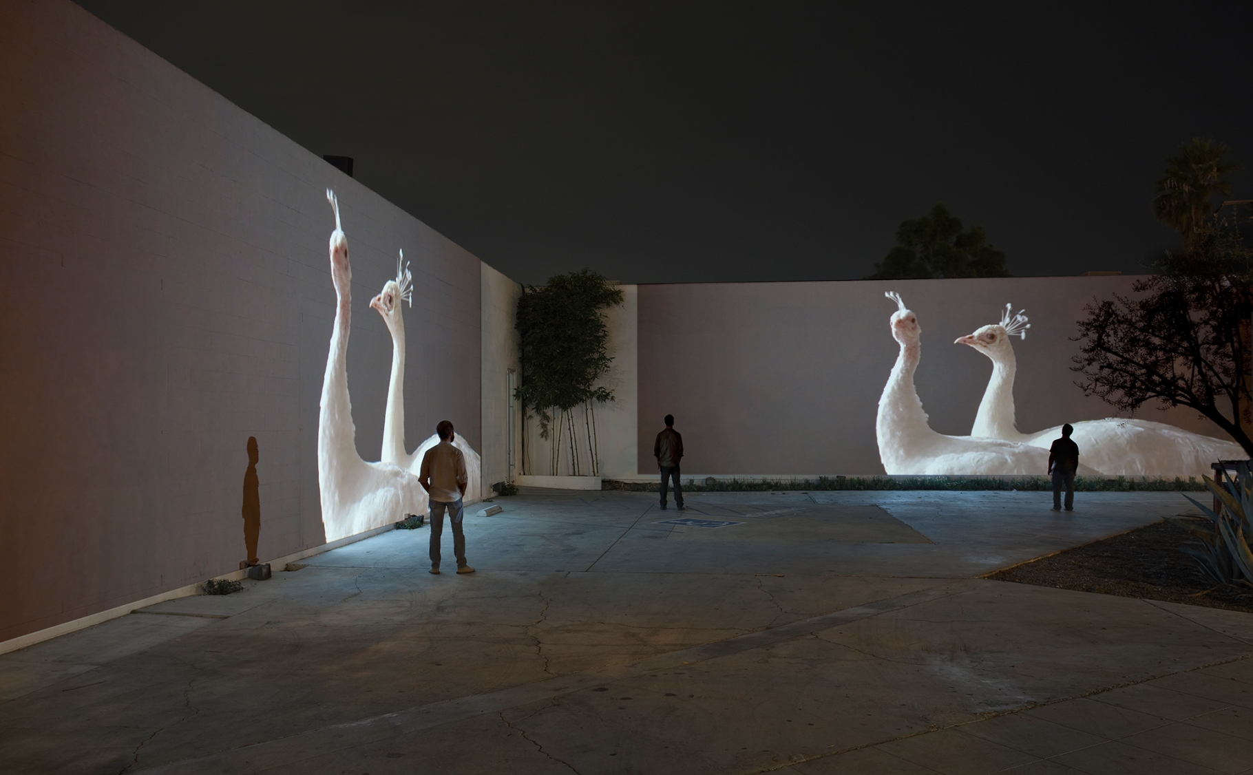 Doug Aitken