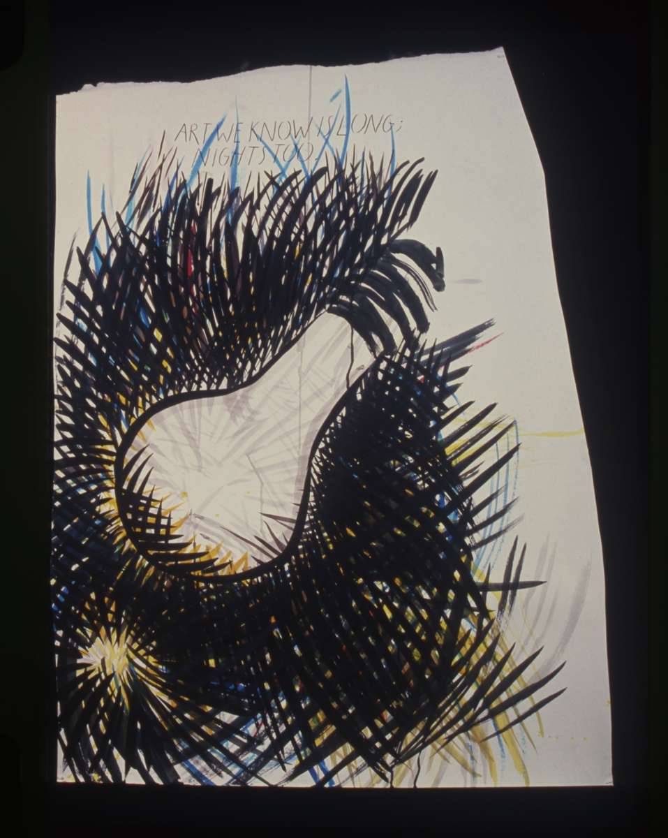 Raymond Pettibon
