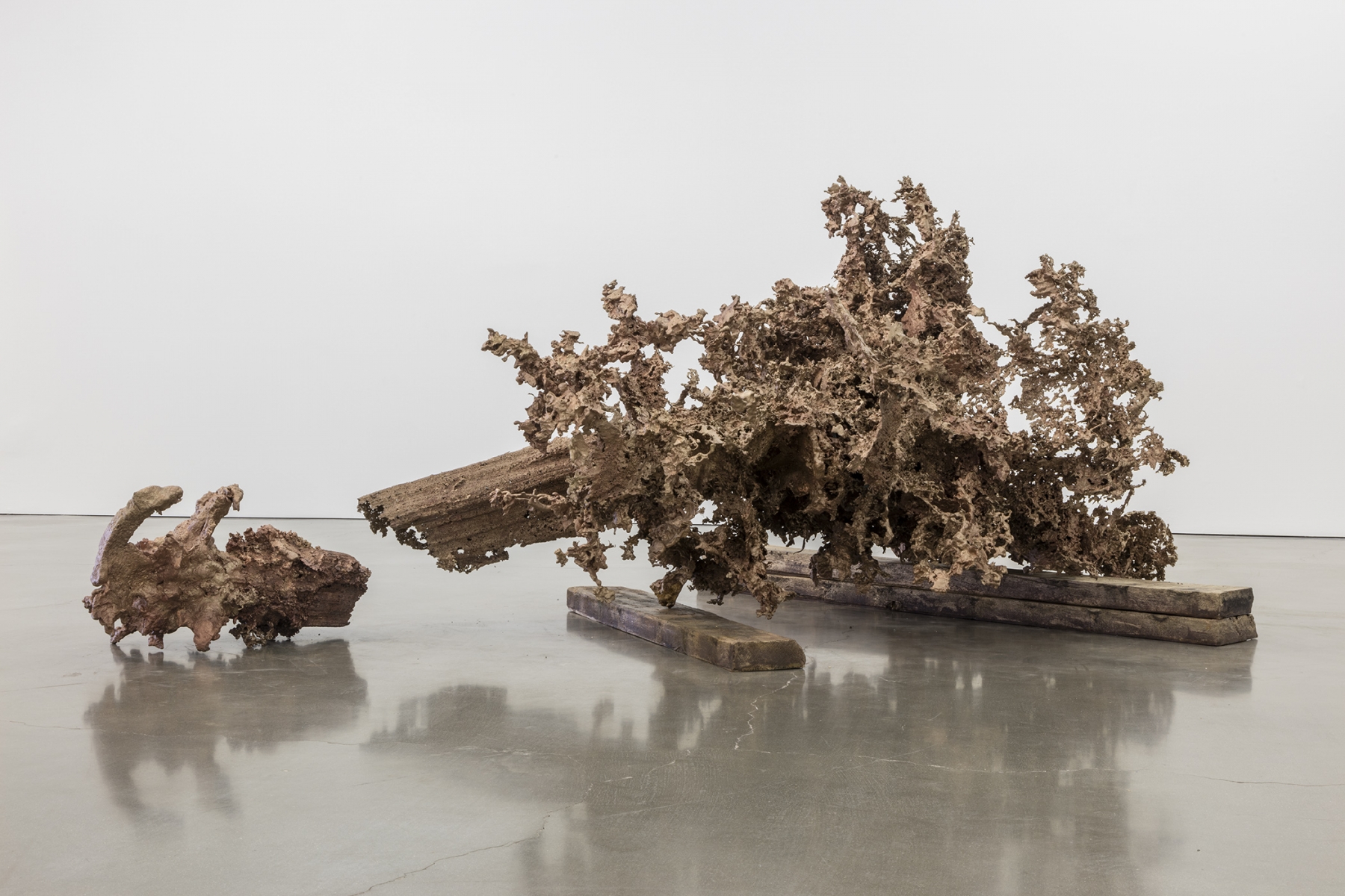 Matthew Barney - Water Castings