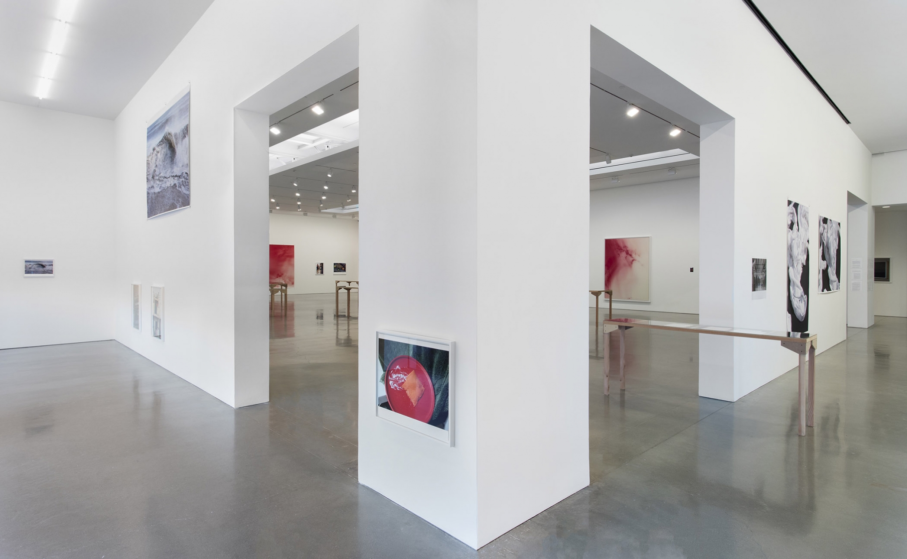 Wolfgang Tillmans