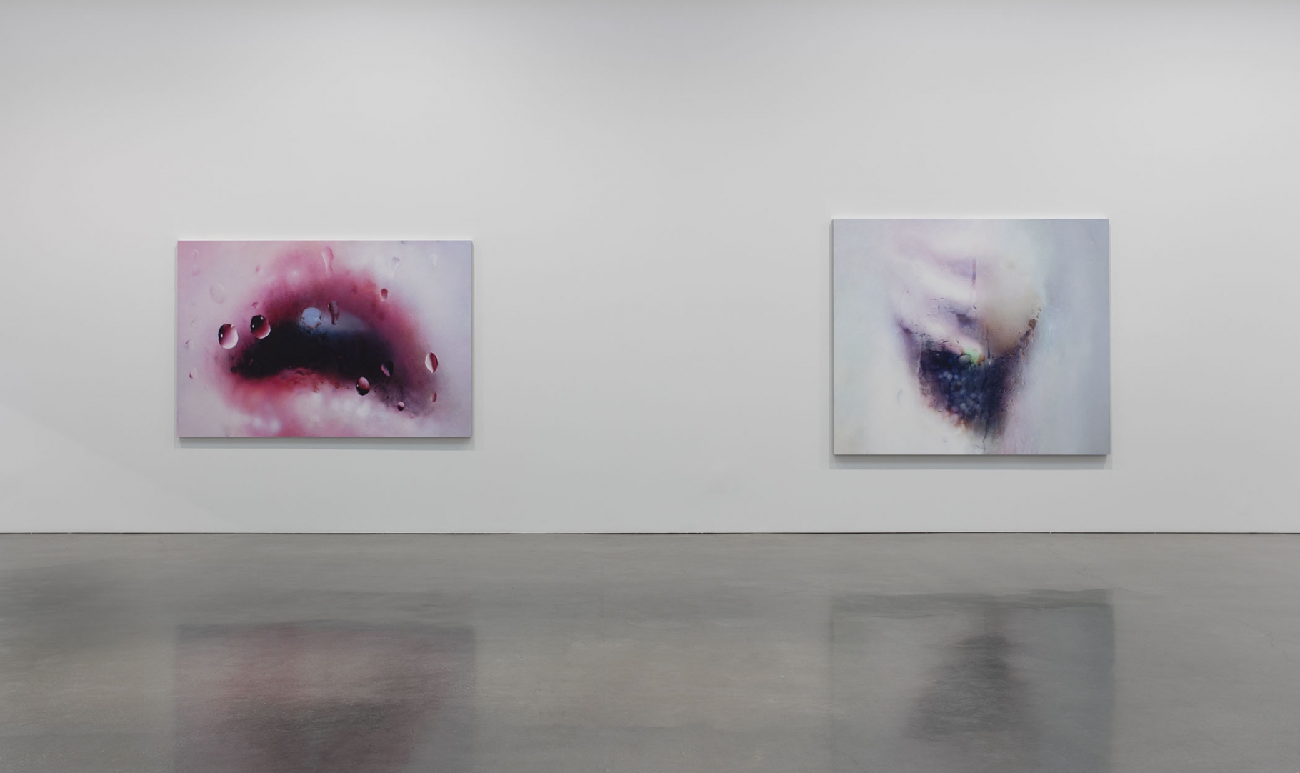 Marilyn Minter