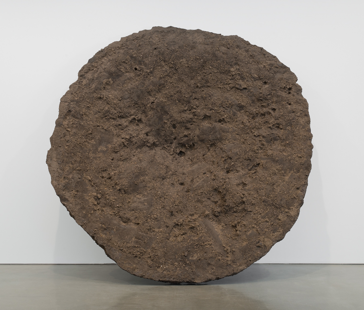 Anish Kapoor - Tunneling Shadow