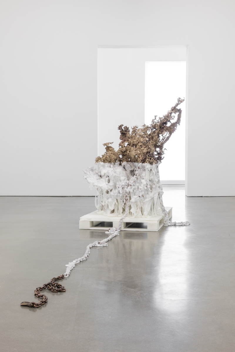 Matthew Barney - White Dwarf