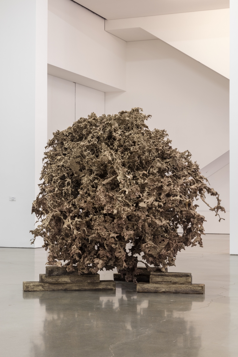 Mathew Barney - Water Castings