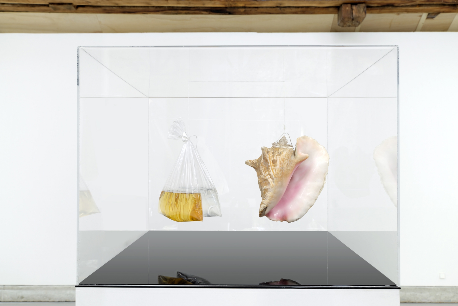 Gabriel Kuri, bottled water (m1)