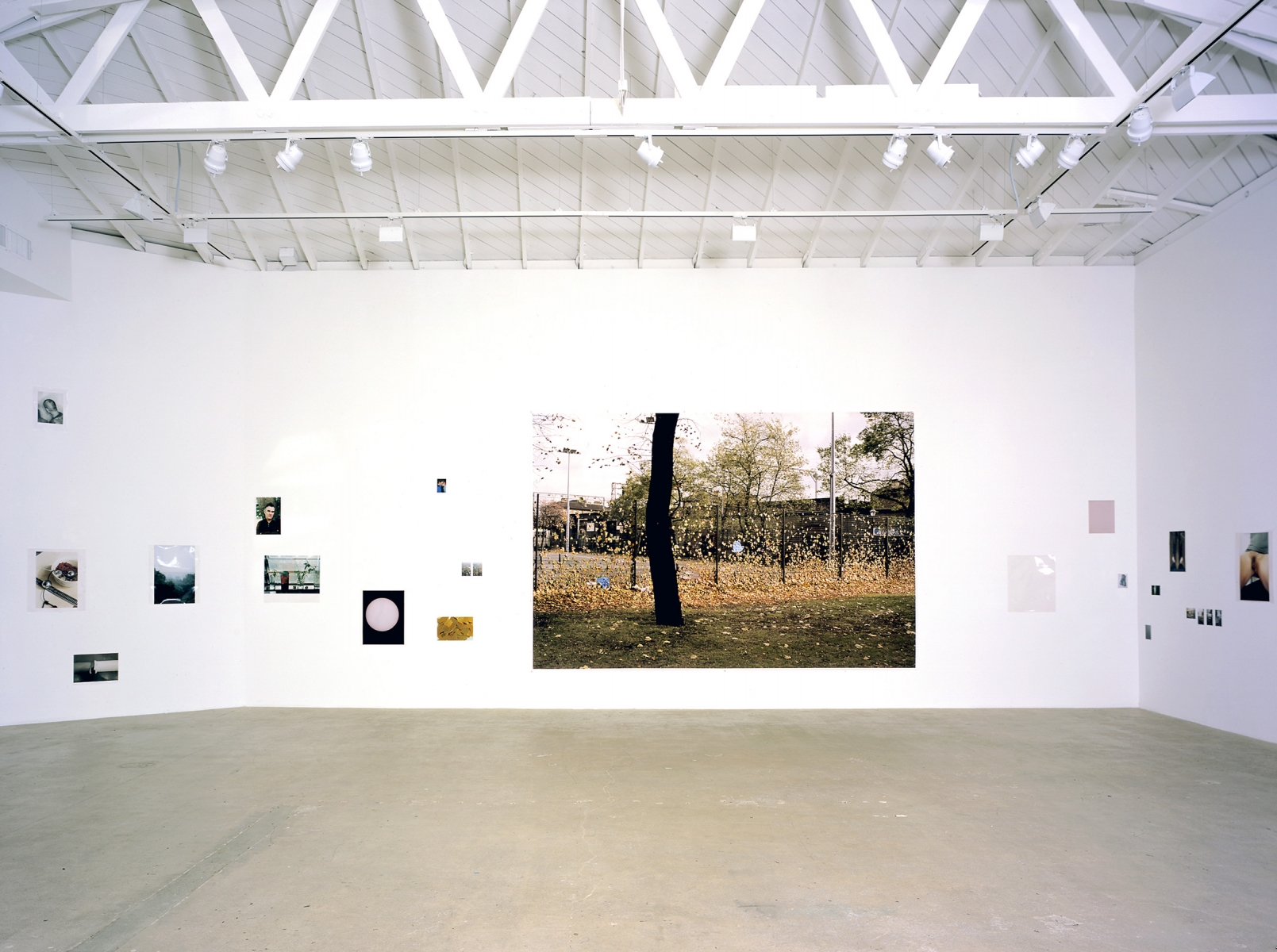 Wolfgang Tillmans