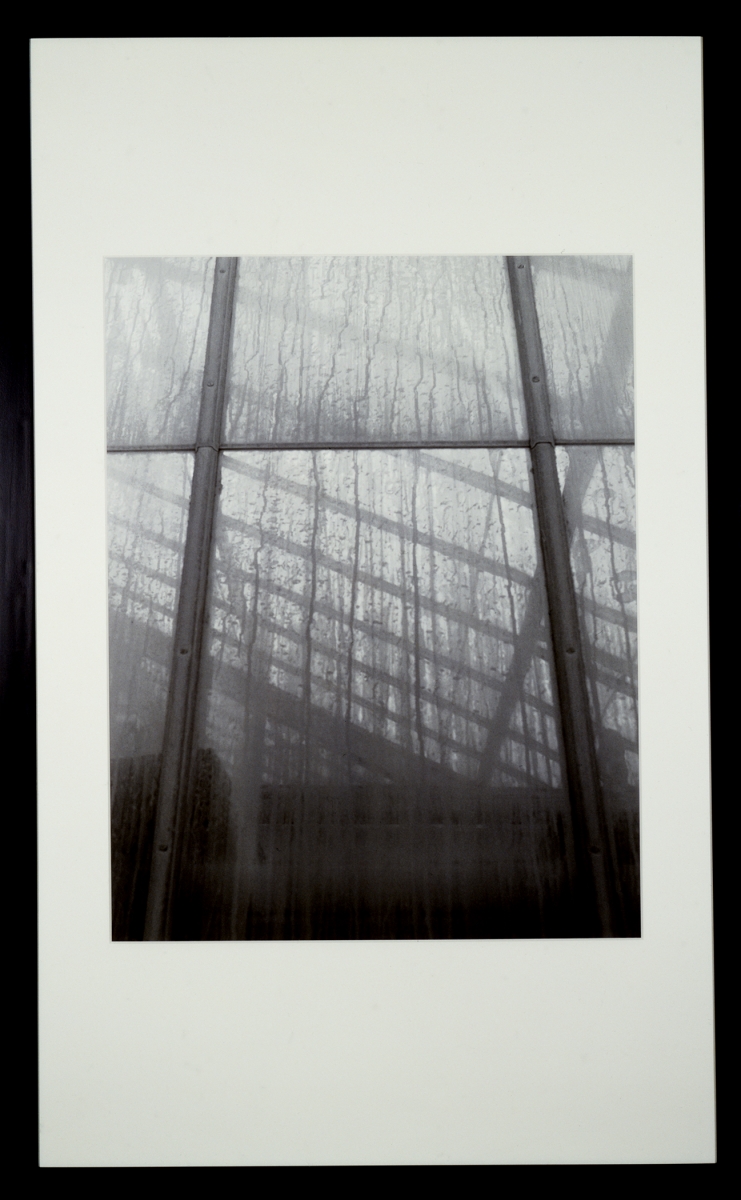James Welling