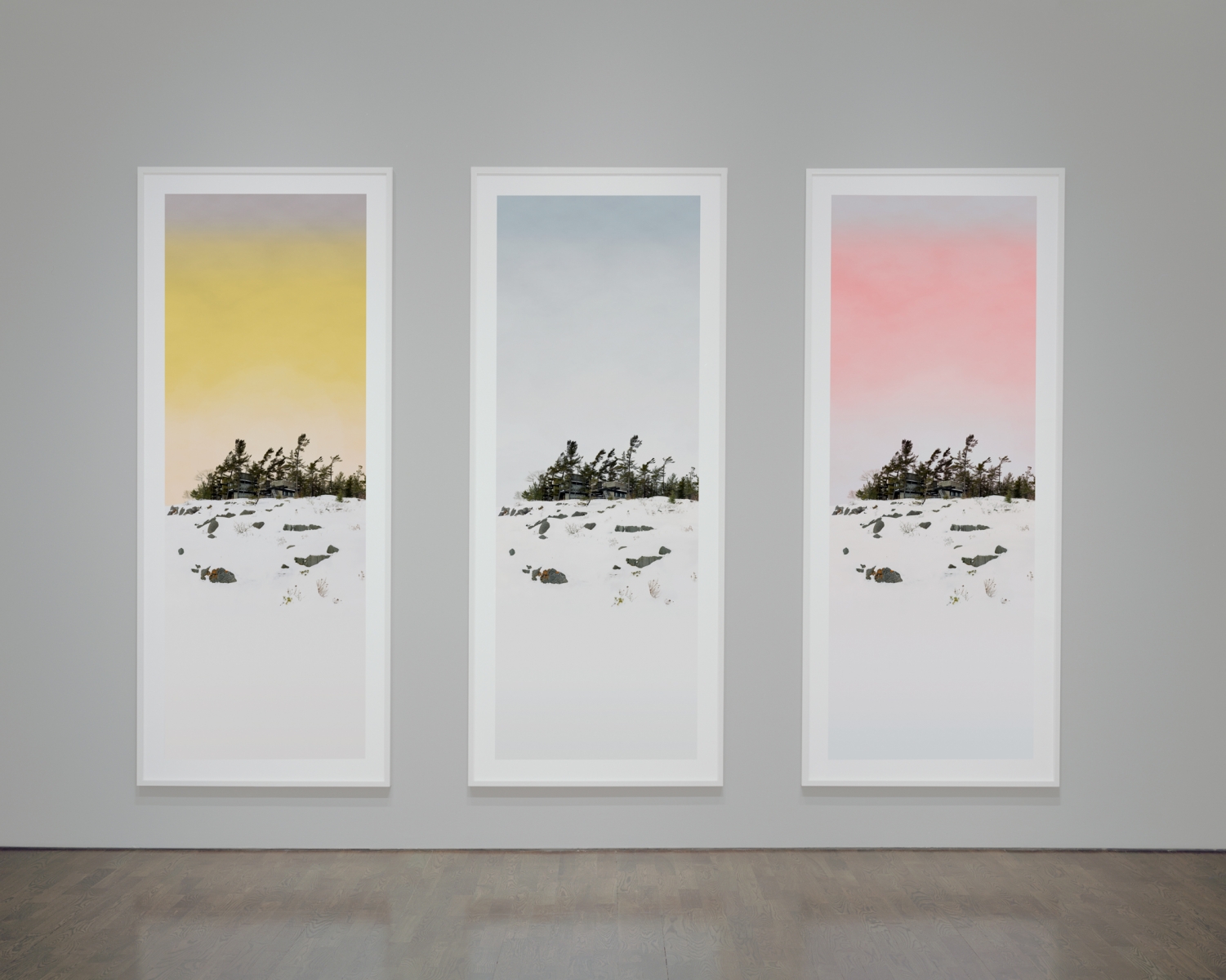 Scott McFarland - AGO