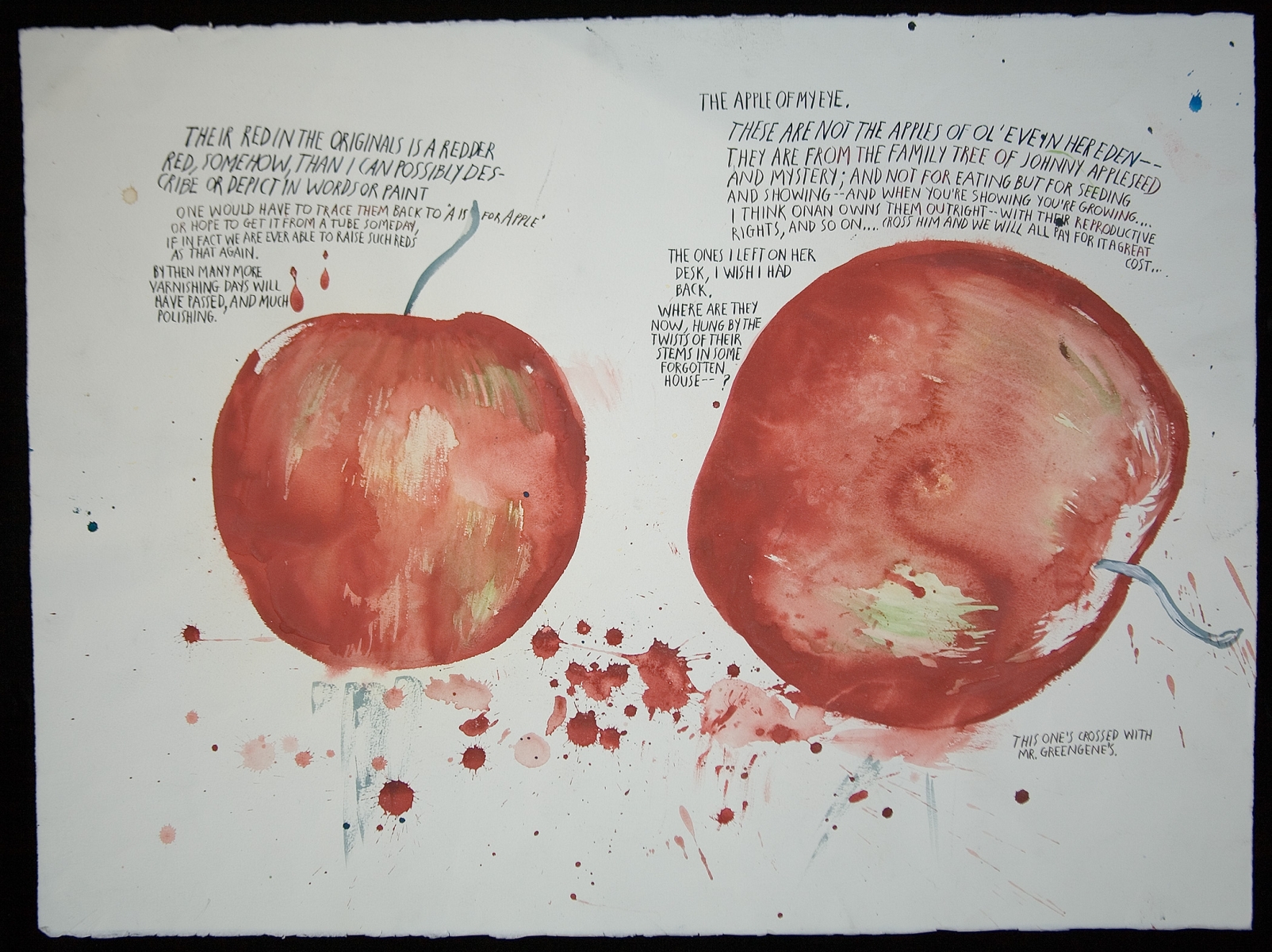Raymond Pettibon