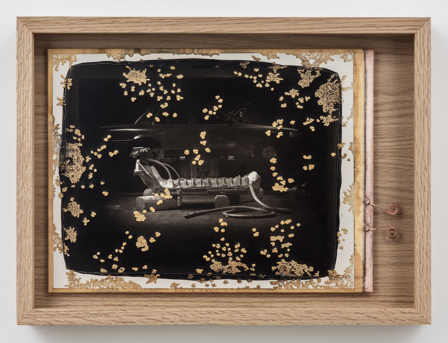 Matthew Barney - In vain