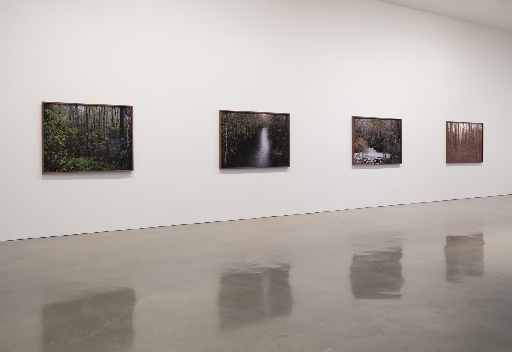 Catherine Opie - Rhetorical Landscapes