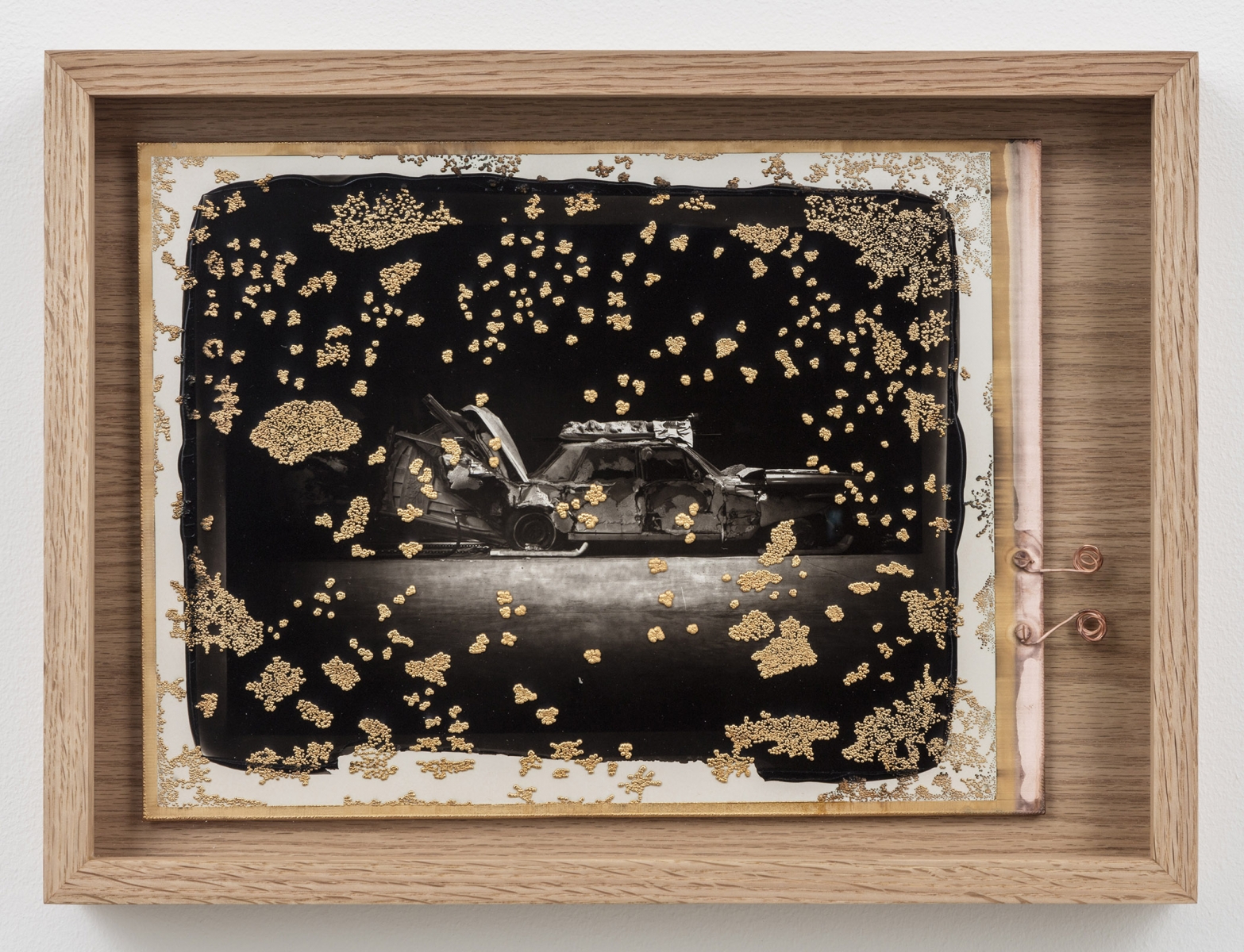 Matthew Barney - In vain