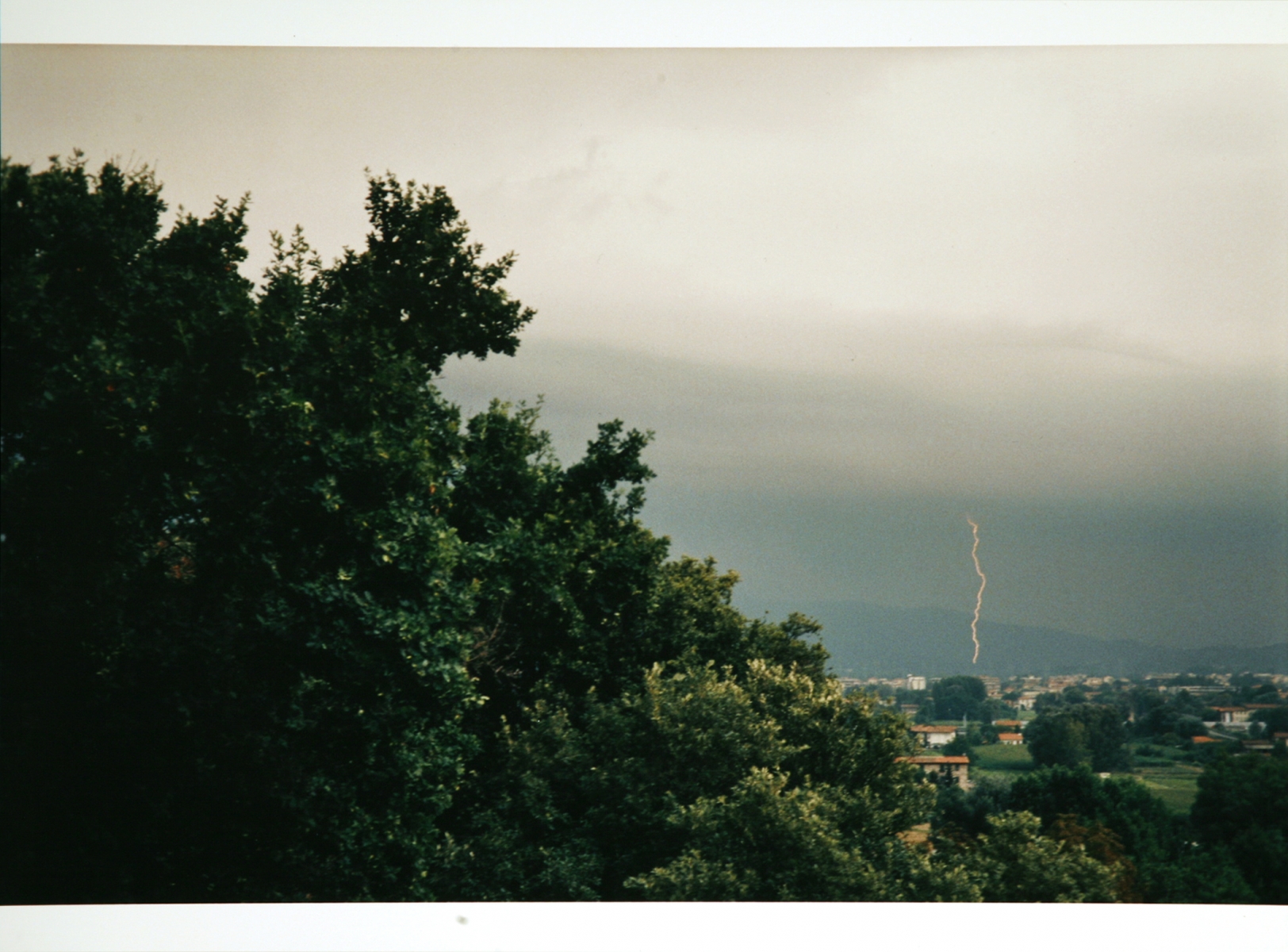 Wolfgang Tillmans