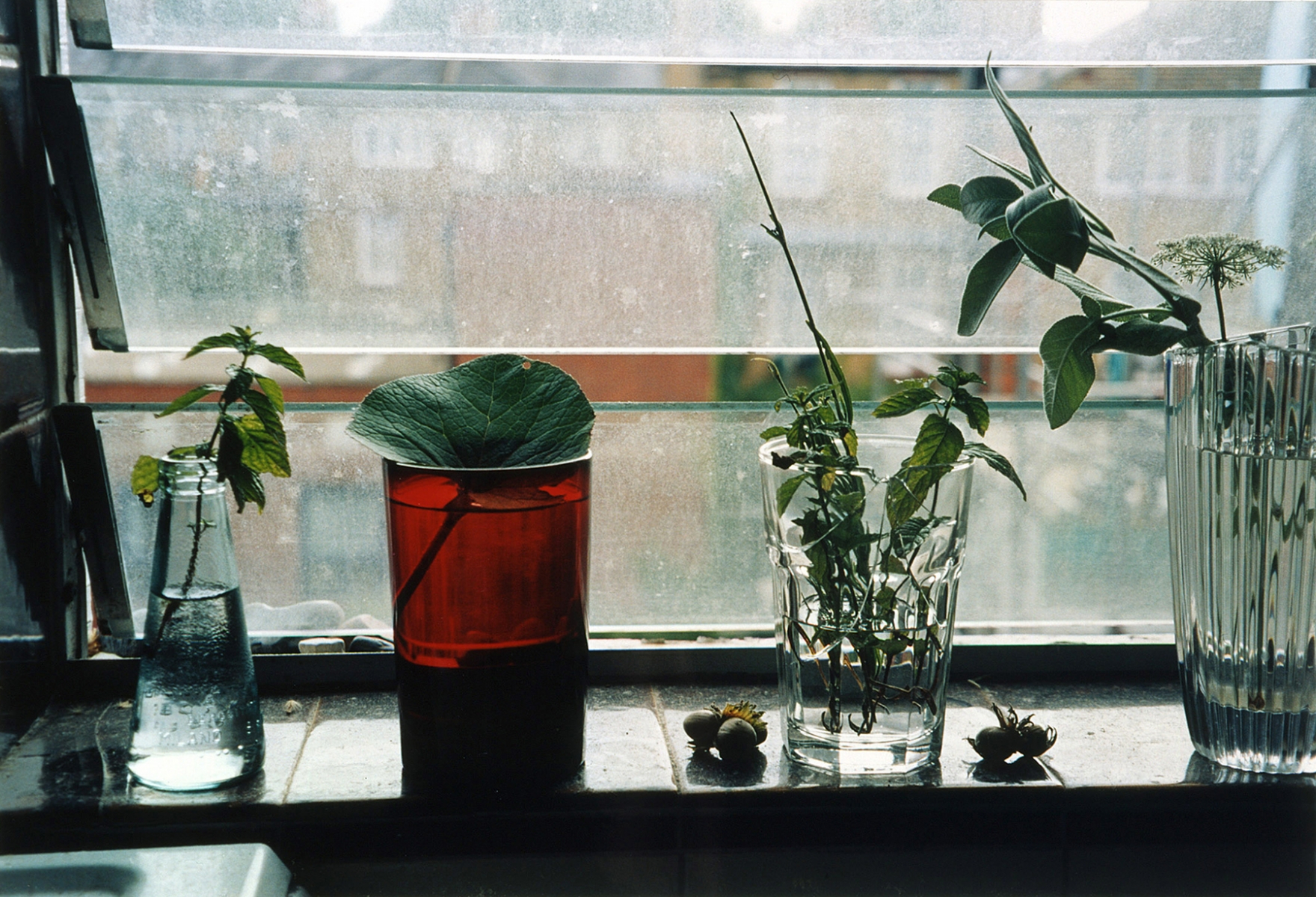 Wolfgang Tillmans