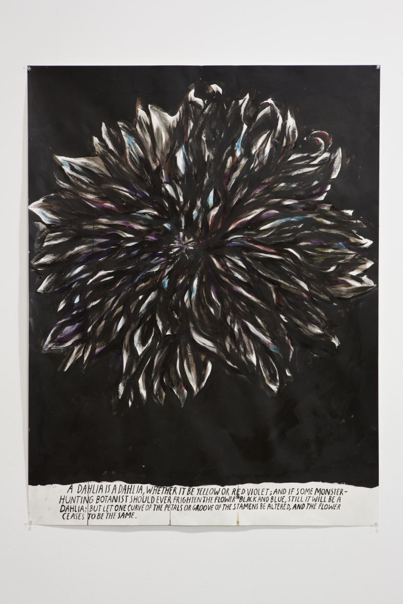 Raymond Pettibon