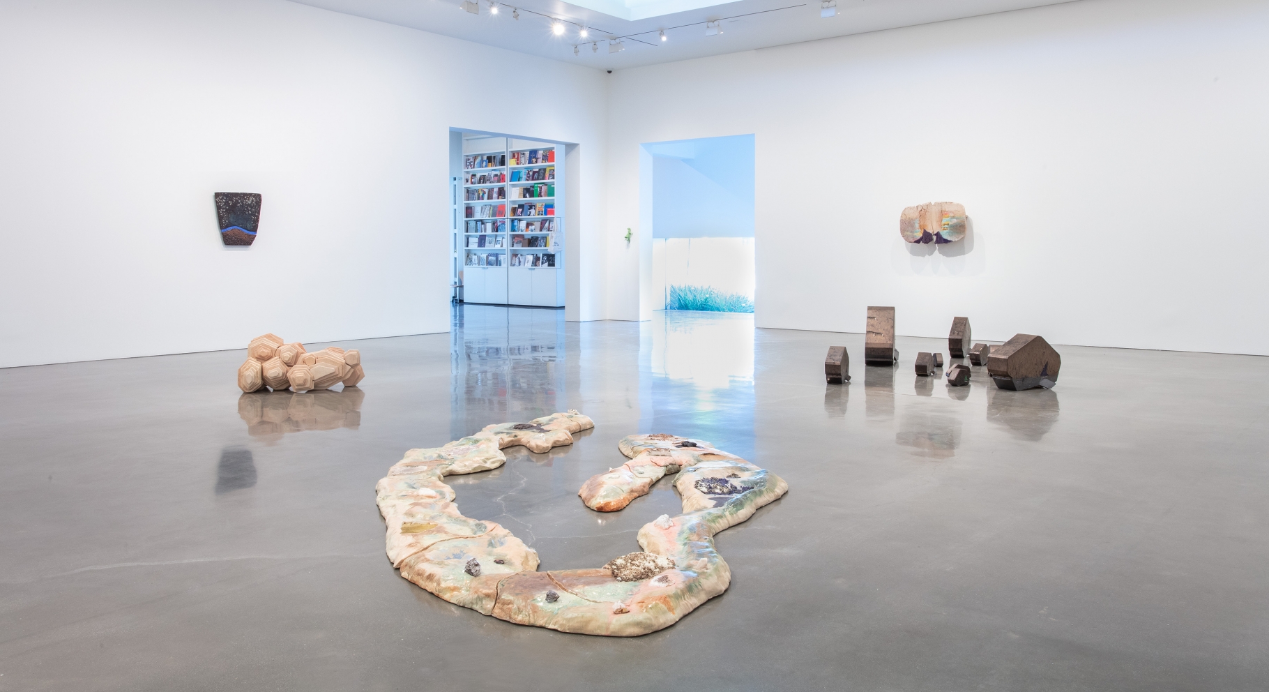 Liz Larner - As Below, So Above