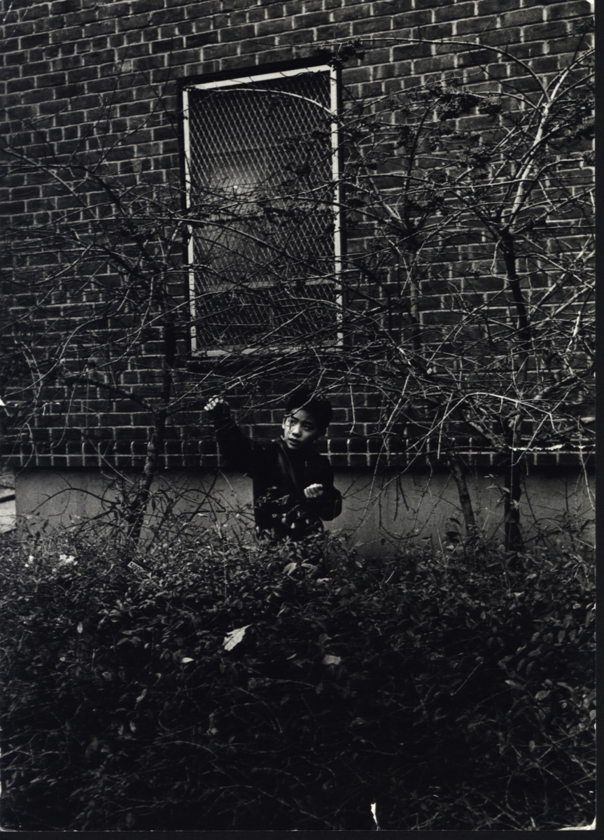 Louis Draper Artists Steven Kasher Gallery