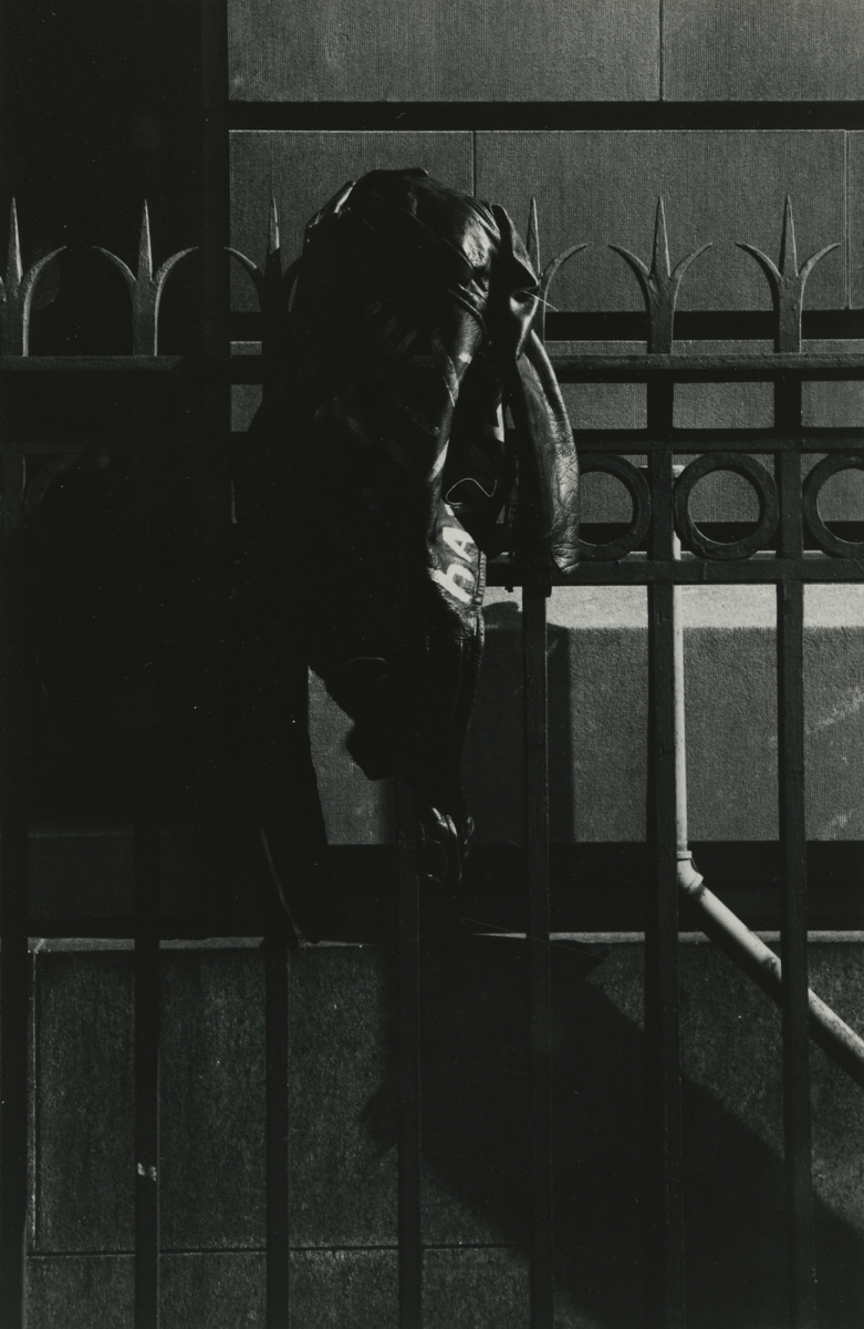 Louis Draper Artists Steven Kasher Gallery