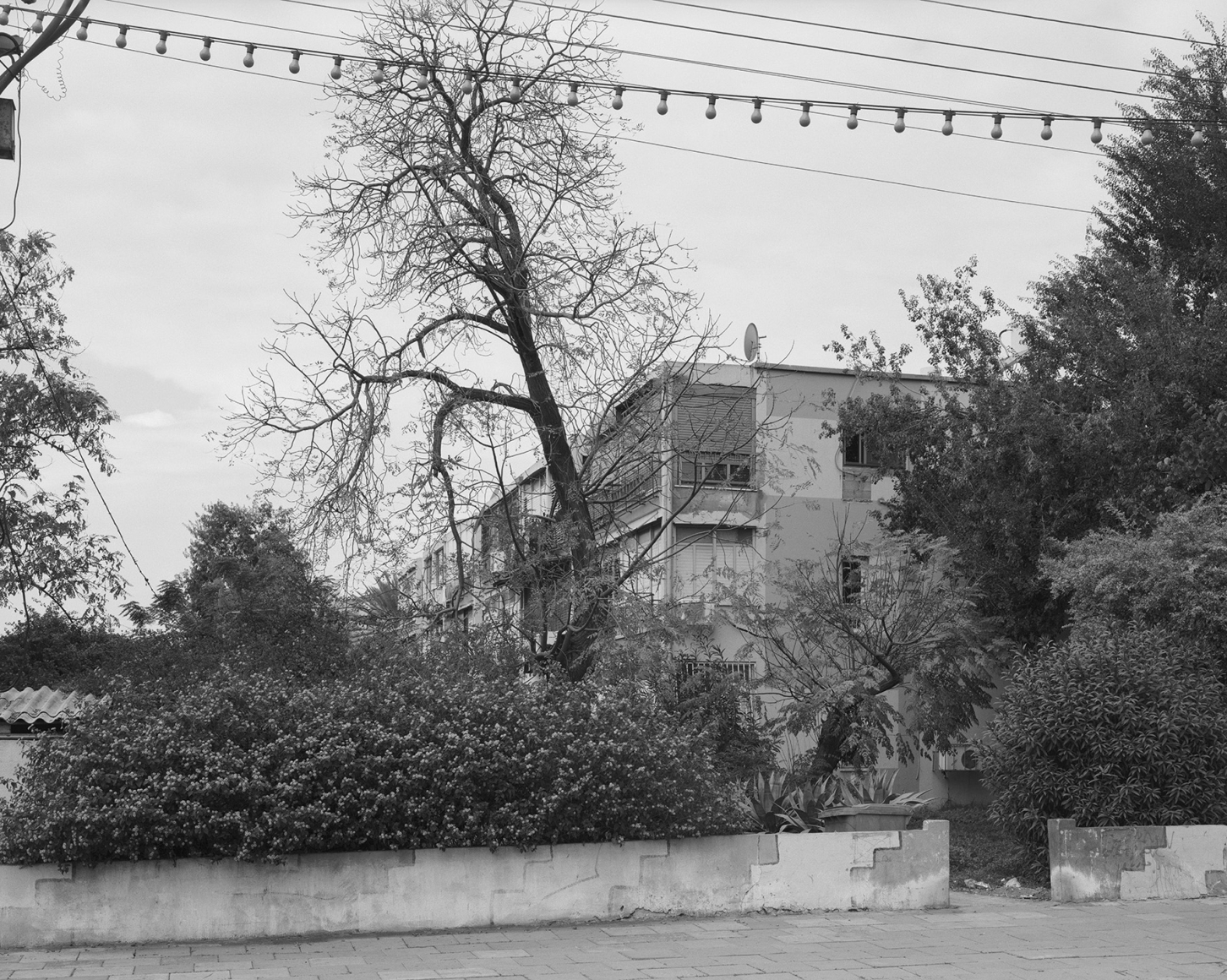 SHARON YA'ARI, Jerusalem Blvd. 2009