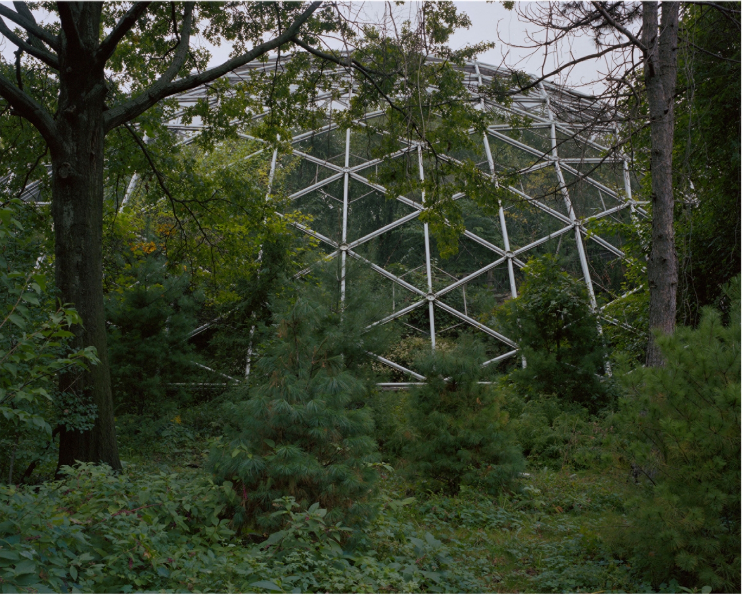 DANIEL BAUER, Aviary, Corona Park, Queens, 2005