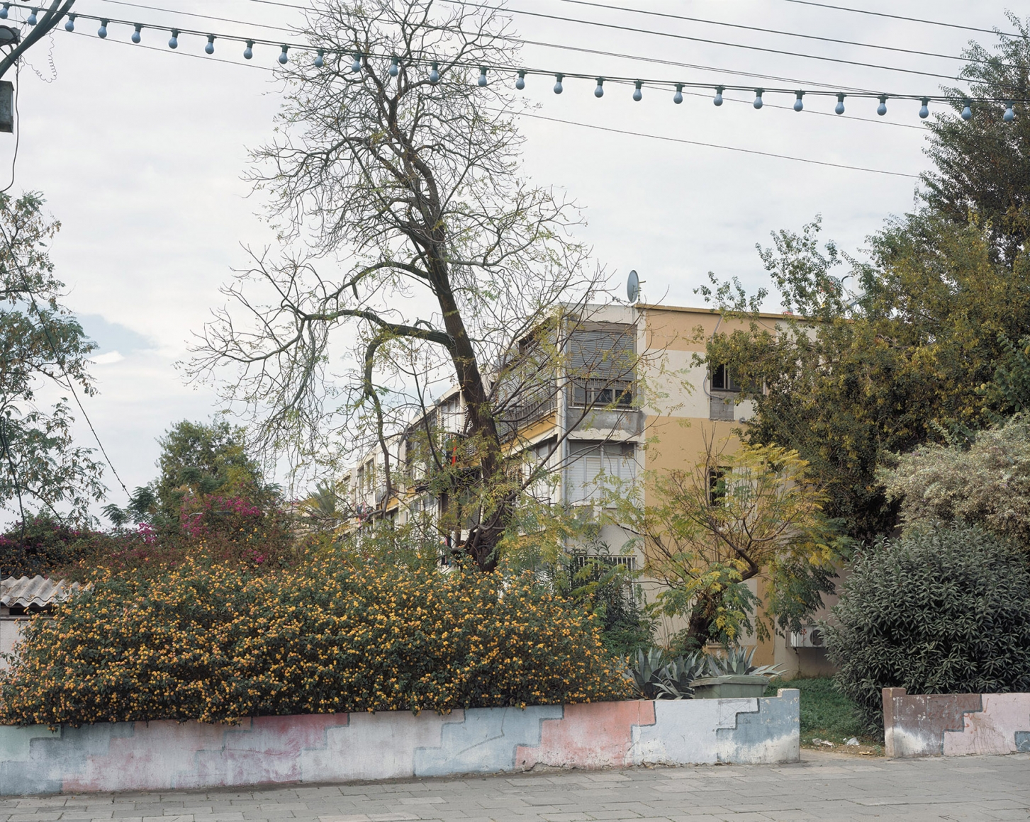 SHARON YA'ARI, Jerusalem Blvd. (color), 2009