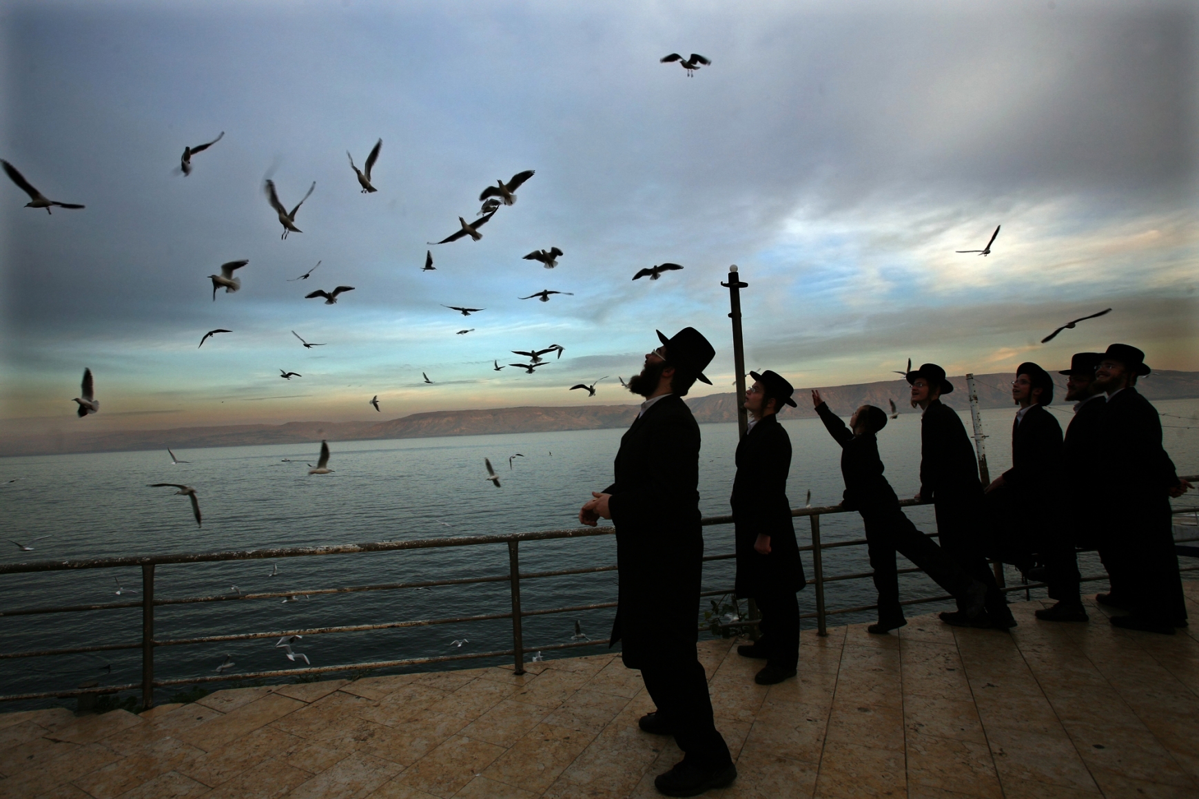 Rina Castelnuovo, Sea of Galilee, 2008