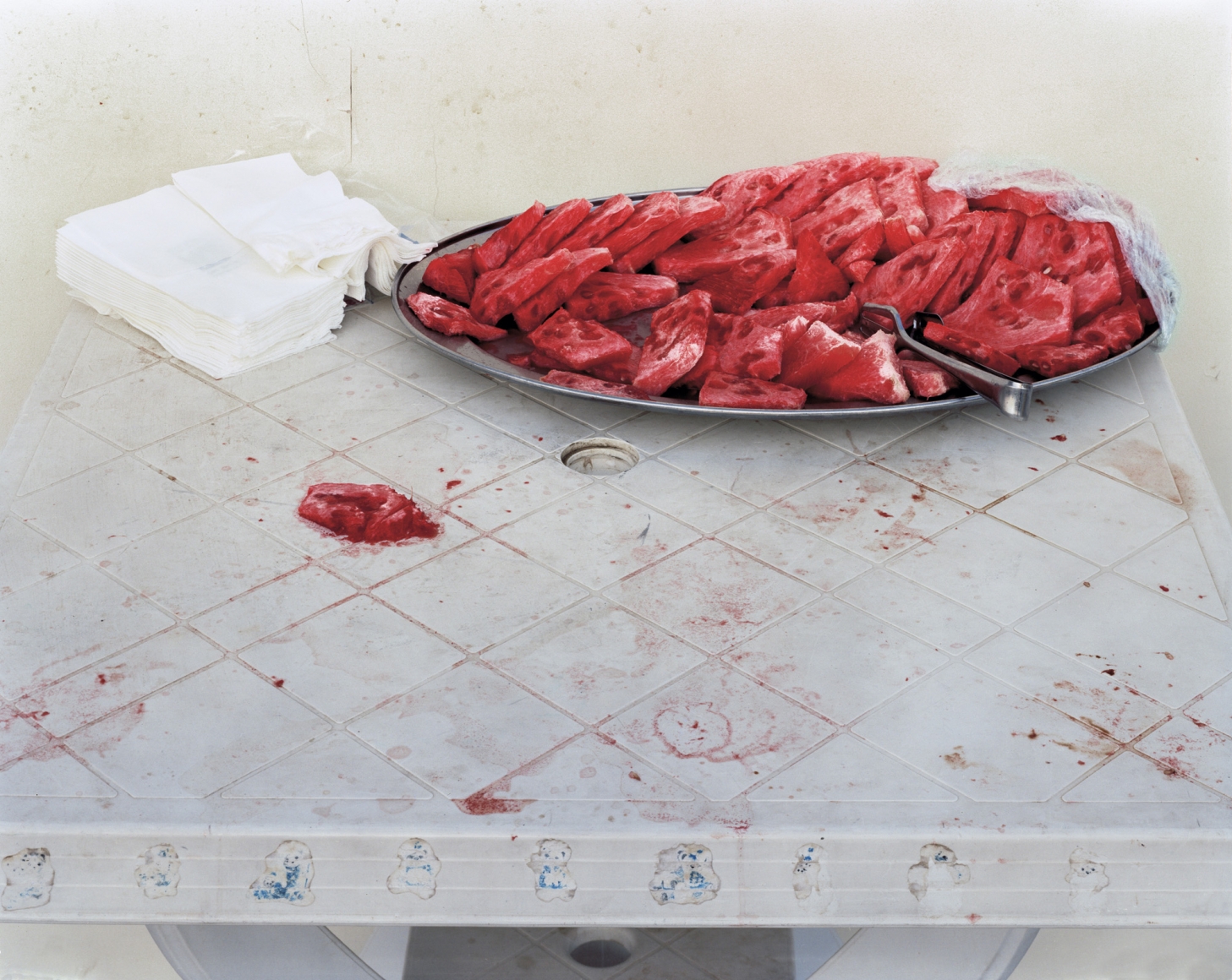 DANIEL BAUER Watermelon, 2010