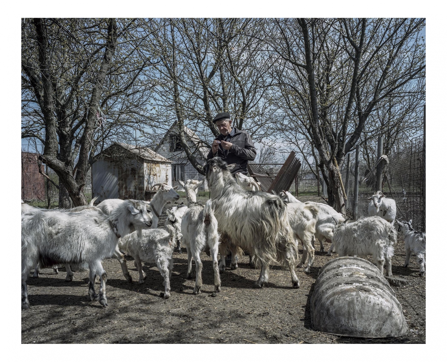 Civilianâ, Ukraine, 2017 