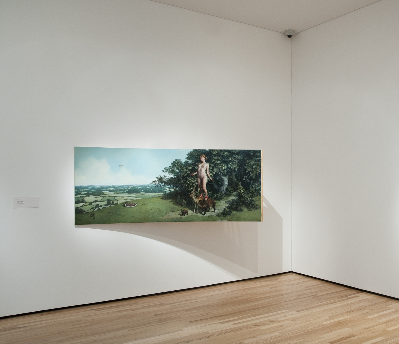 Erik Thor Sandberg_Surreal Selves_Baltimore Museum of Art