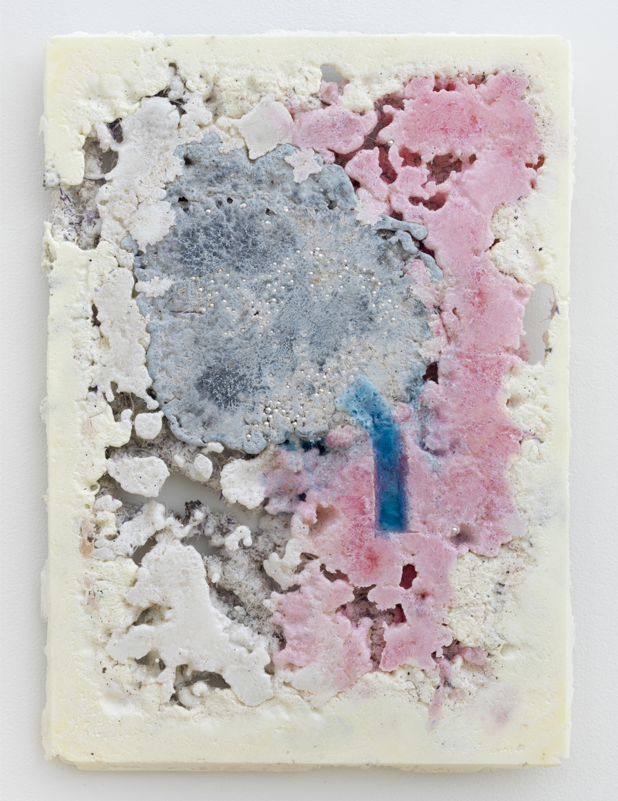 Jesse Greenberg
