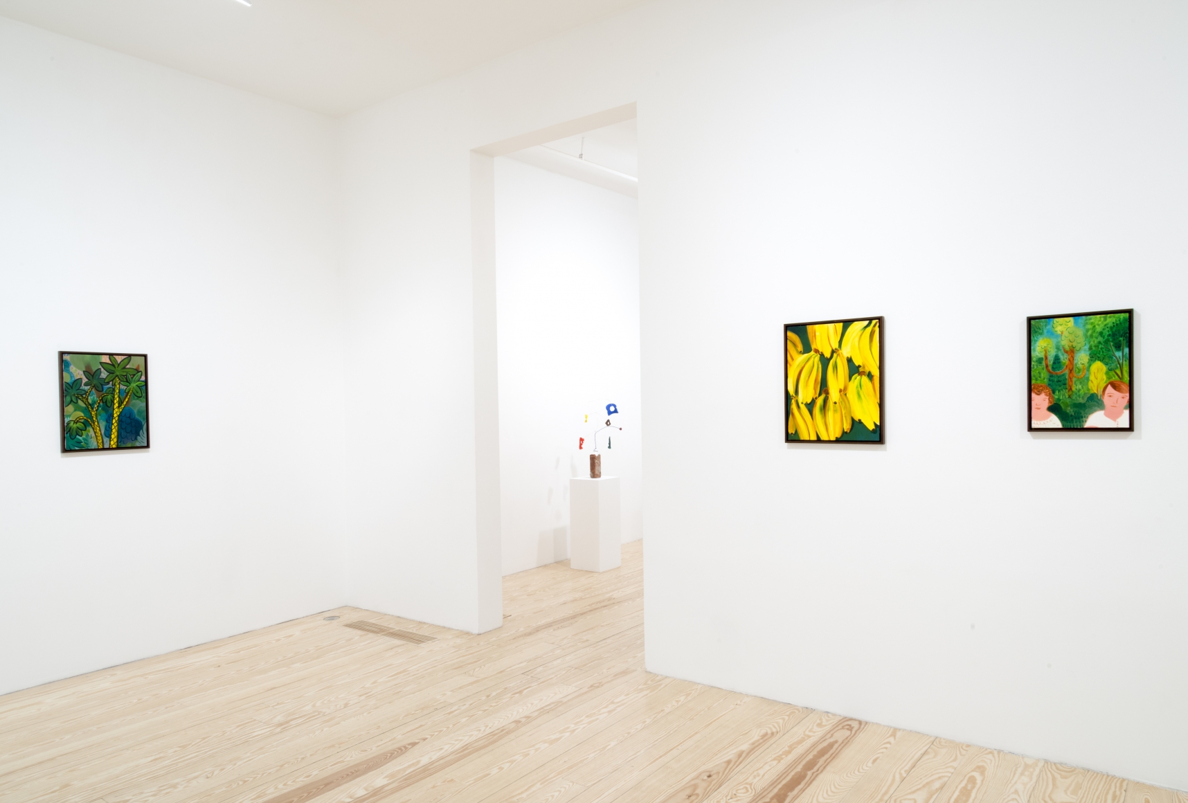 André Ethier, Under Grape Leaves, installation view at Derek Eller Gallery, New York 