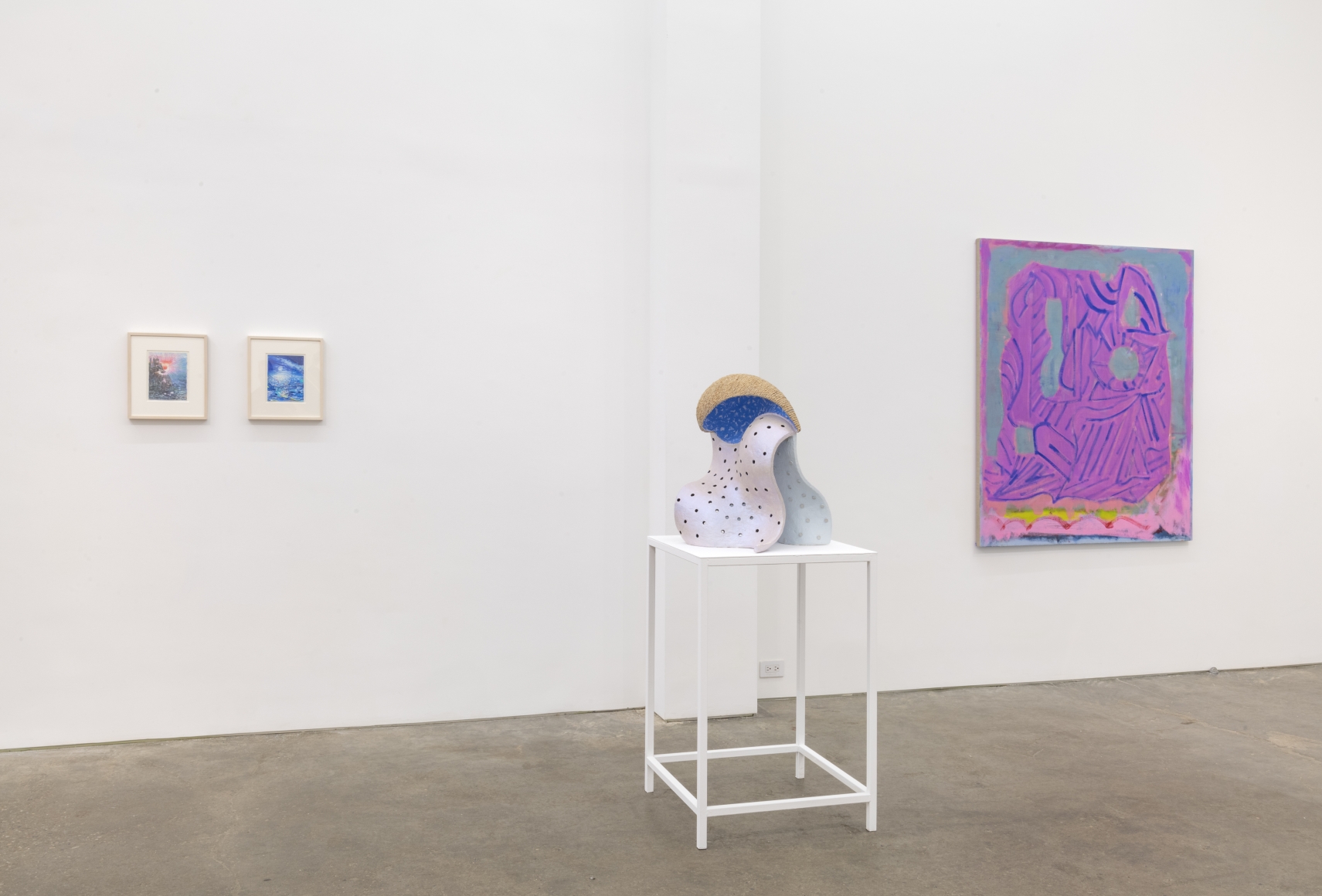 Heat Brain, installation view at Derek Eller Gallery, New York 