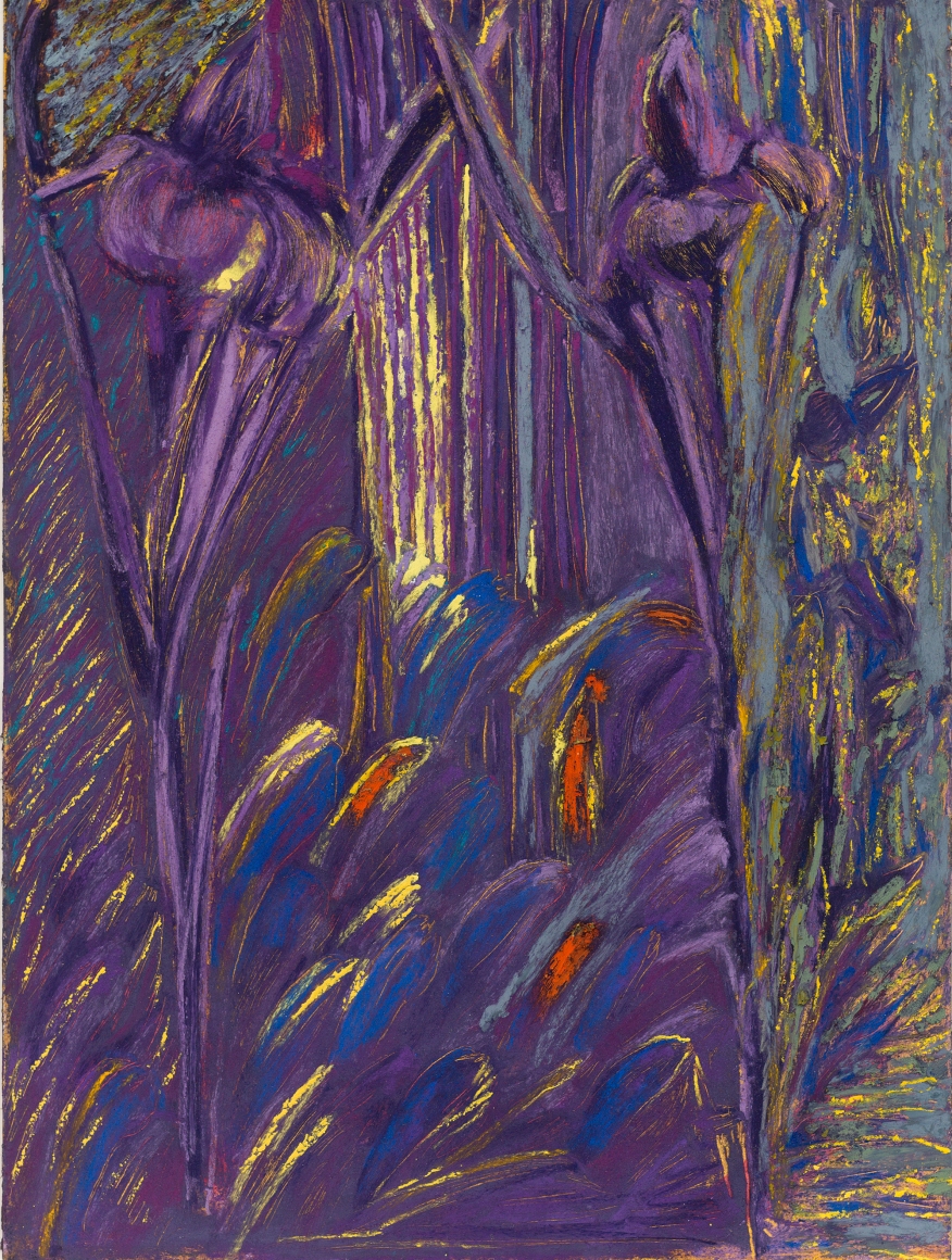 Untitled, 2018, soft pastel and oil pastel on paper
