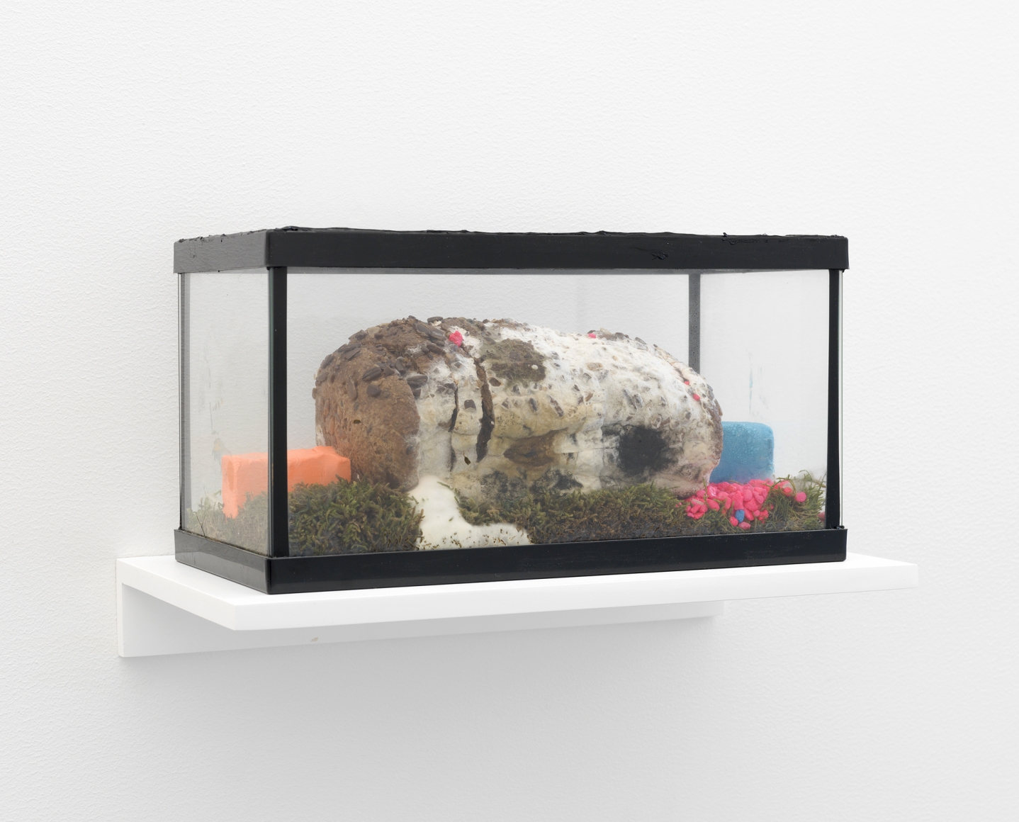 Michelle Segre, Degenerate Pet, 2017